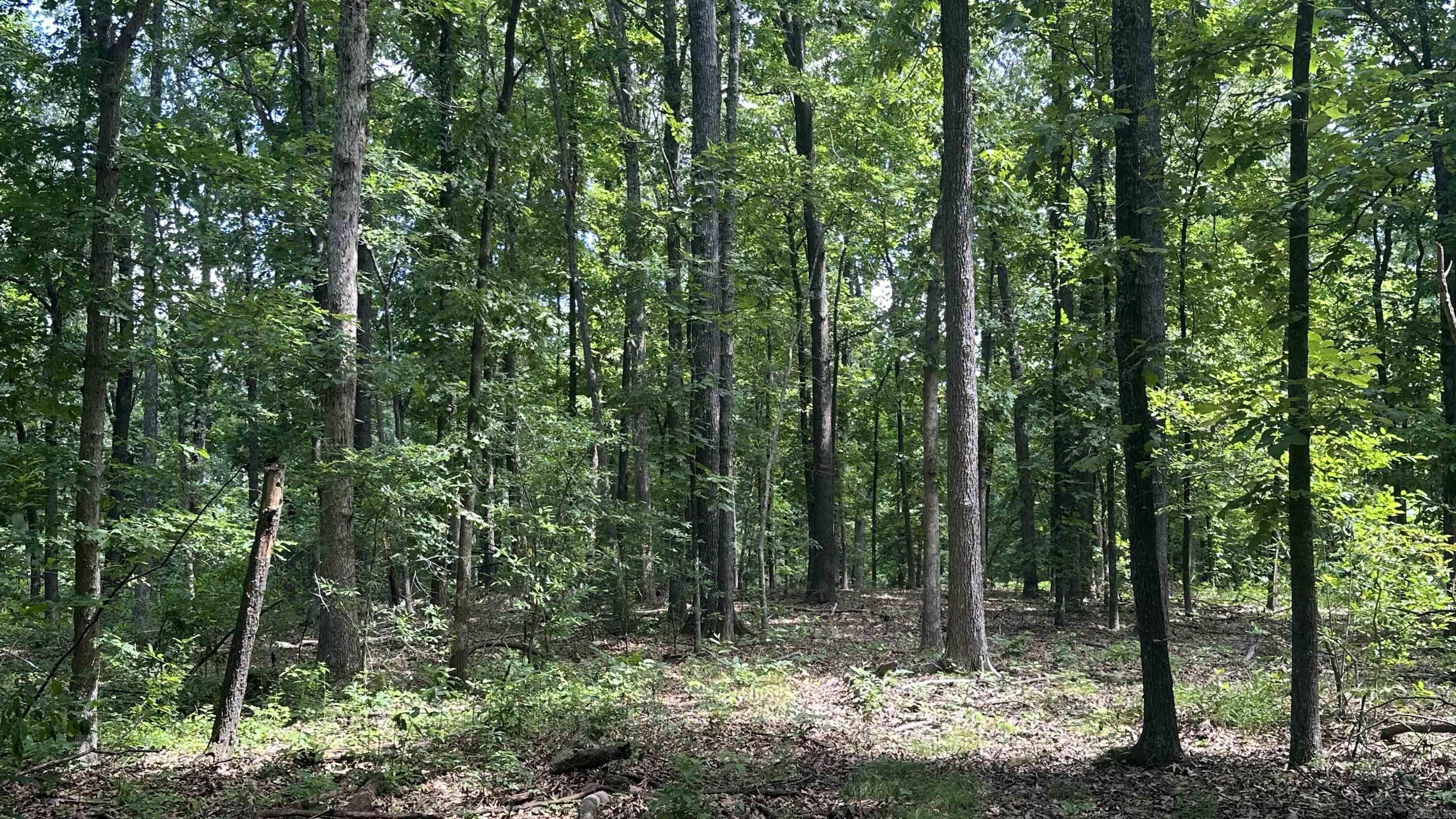 000 E. Campground Rd.  Ash Flat, AR