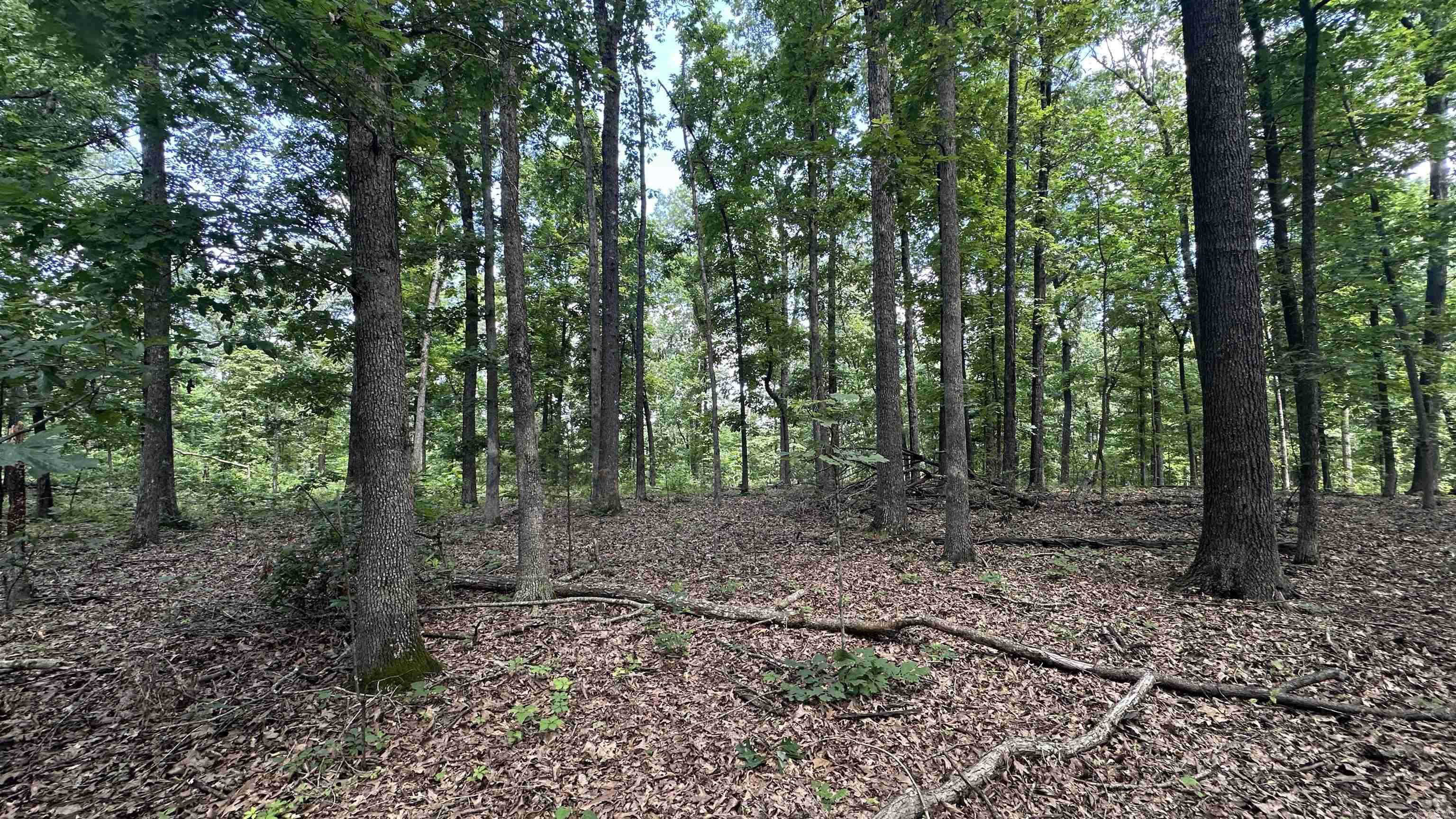 000 E. Campground Rd.  Ash Flat, AR