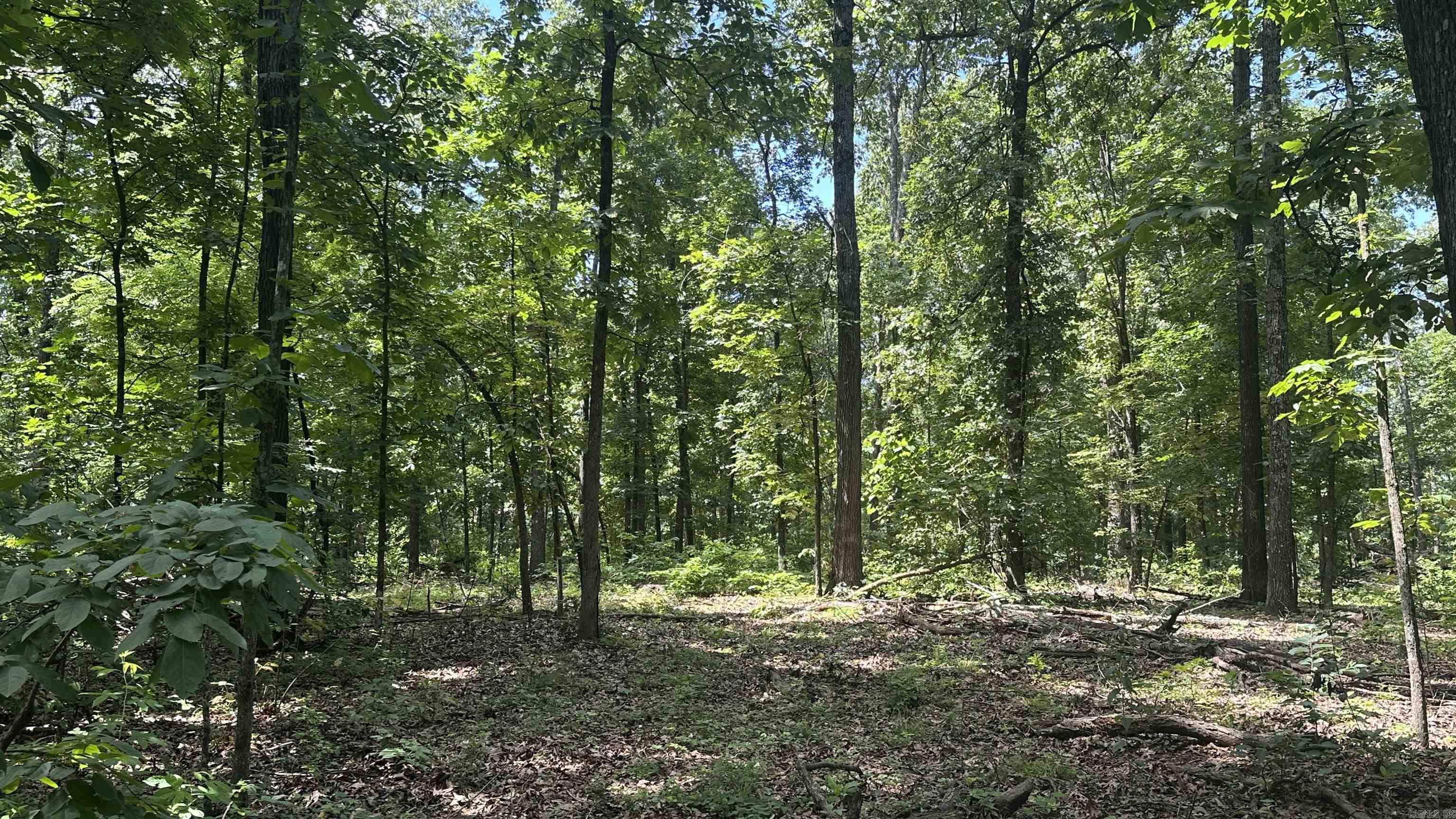 000 E. Campground Rd.  Ash Flat, AR