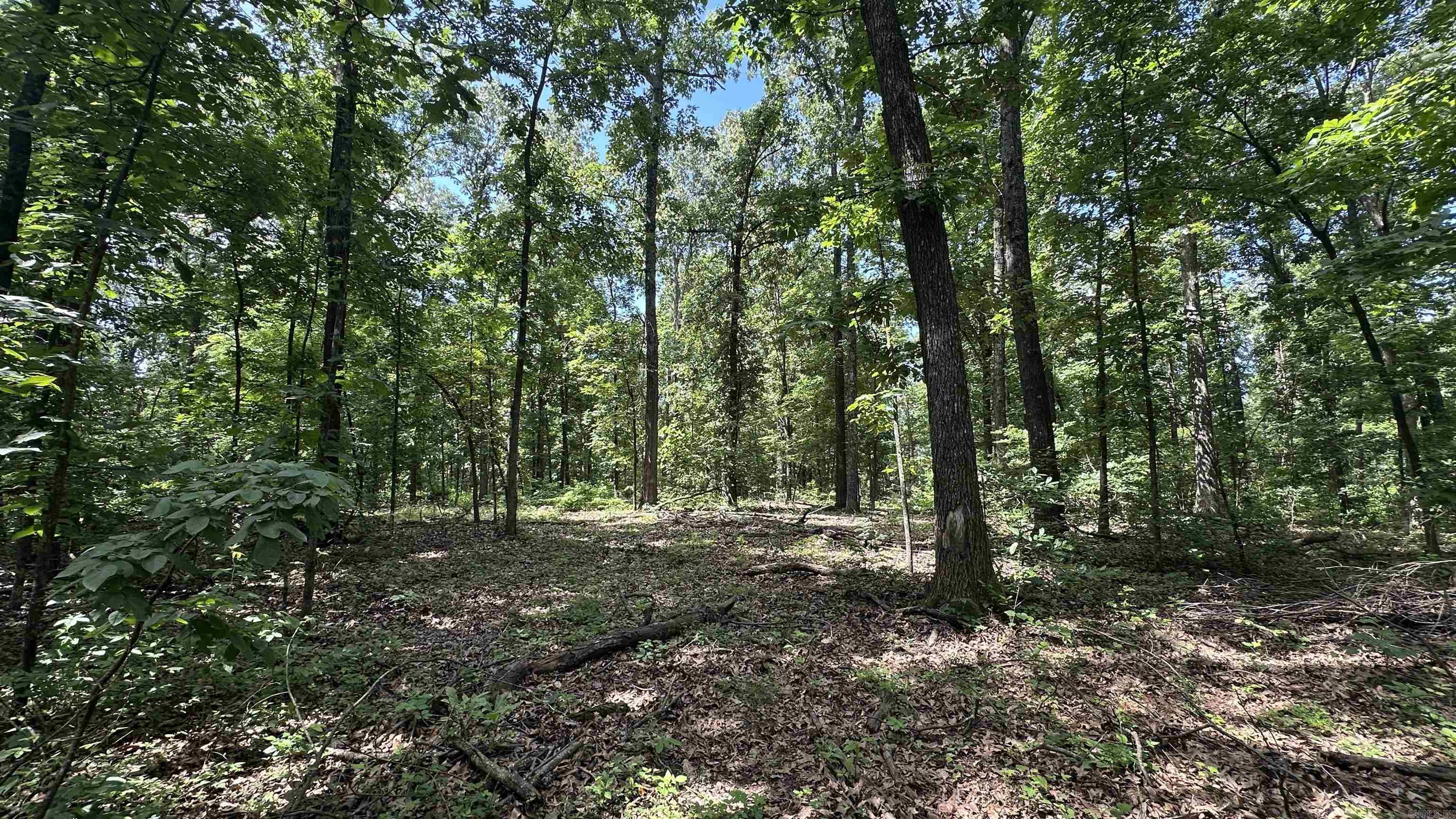 000 E. Campground Rd.  Ash Flat, AR