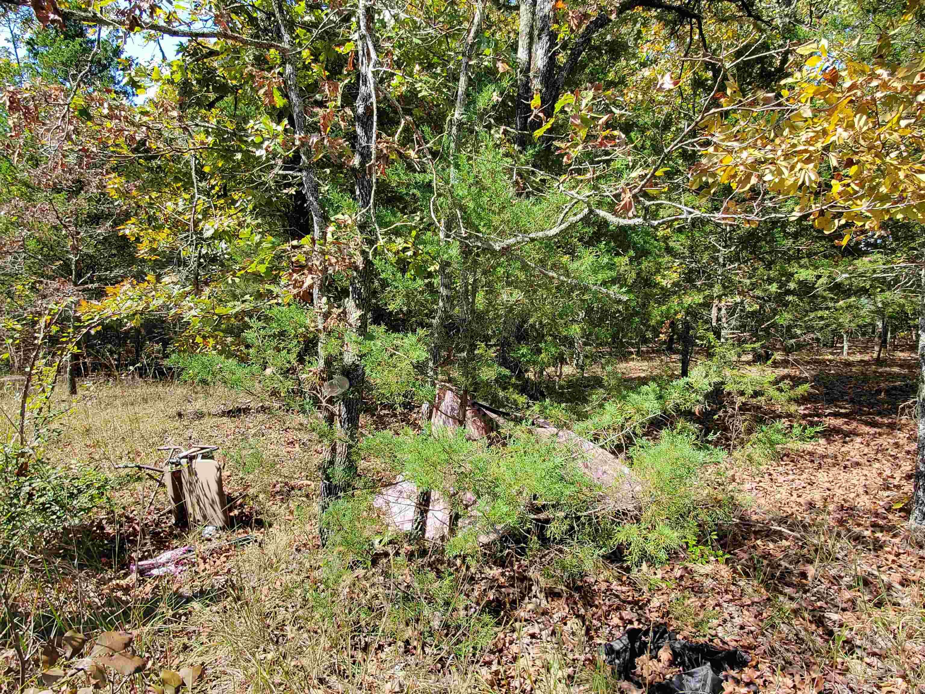 176 Double G Farm  Romance, AR