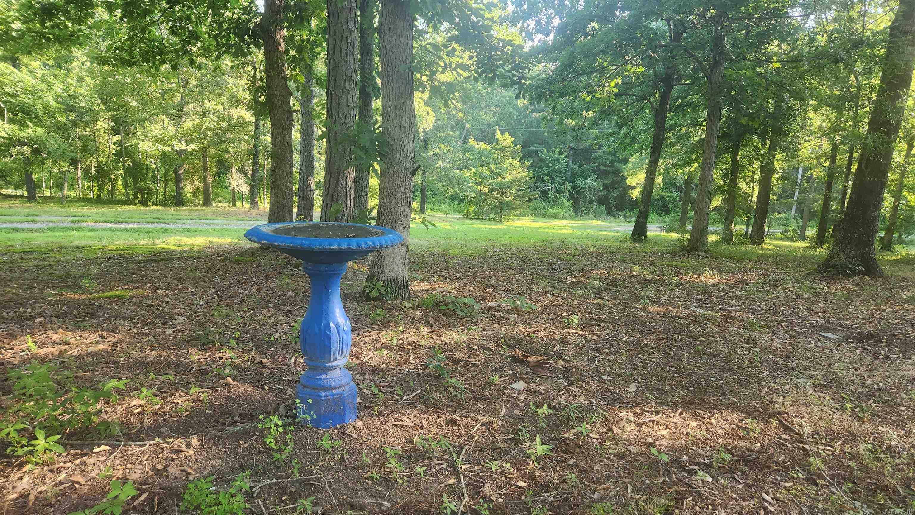 65 Farley Lane  Story, AR