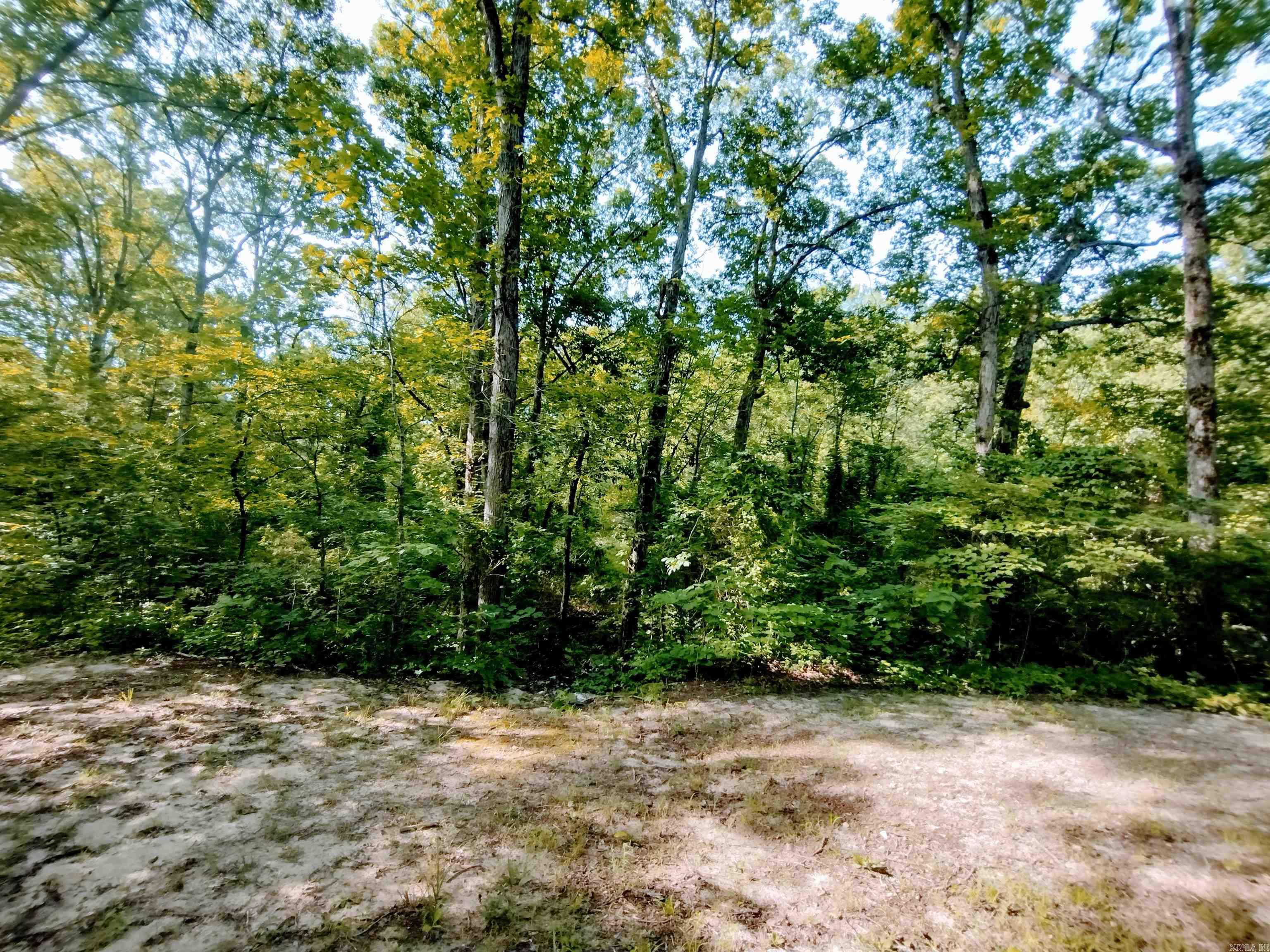 32540 HWY 5 N  Calico Rock, AR