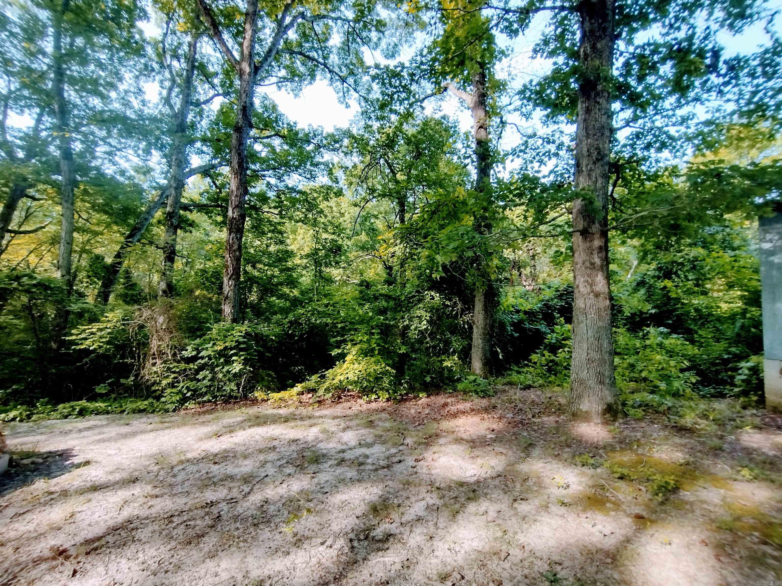 32540 HWY 5 N  Calico Rock, AR