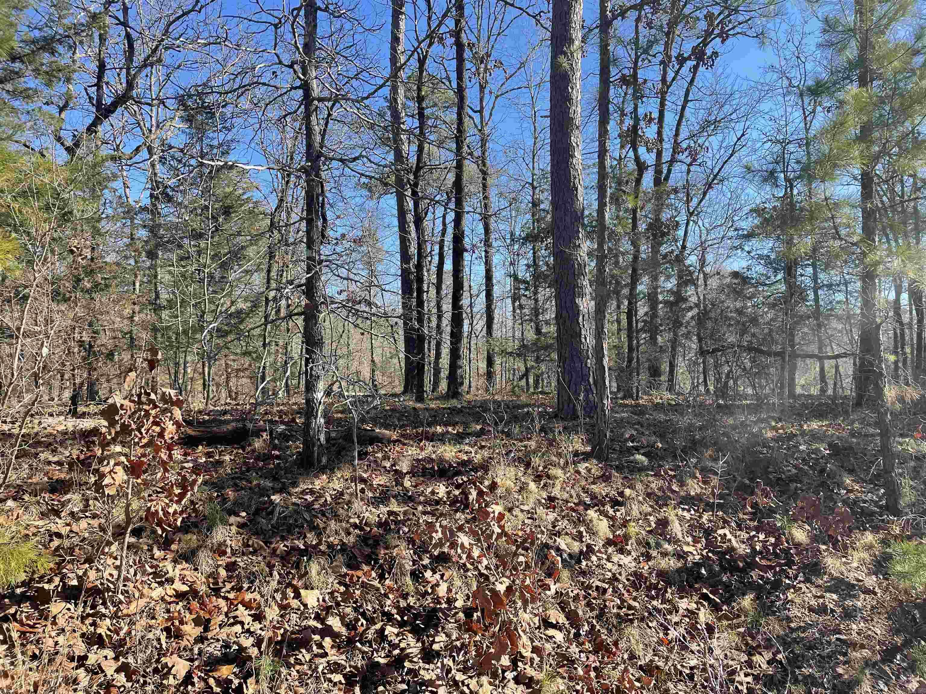3 Borbollon  Hot Springs Village, AR