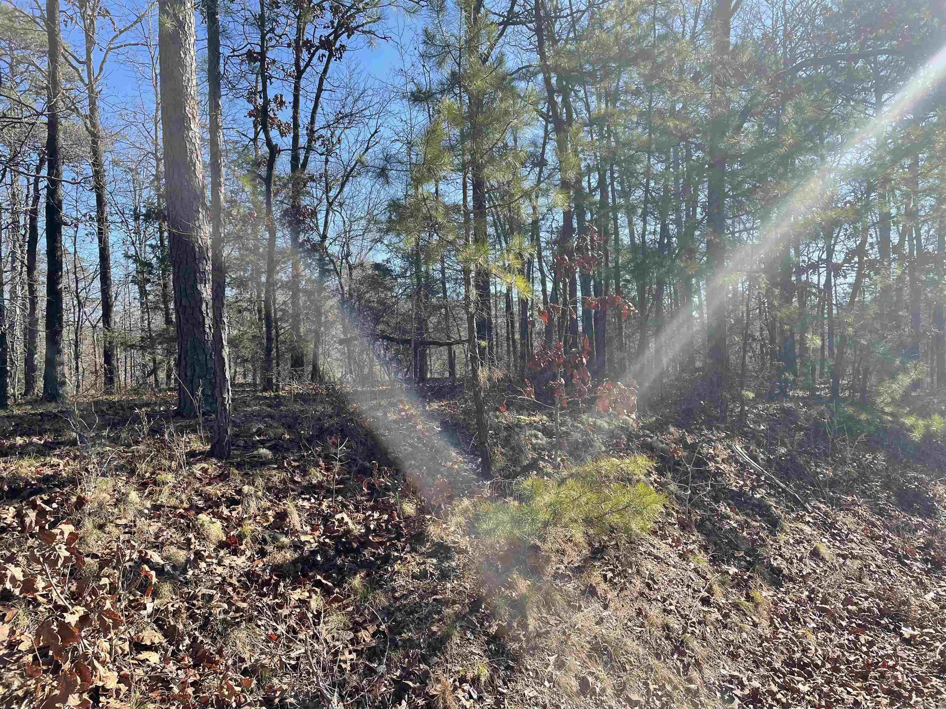 3 Borbollon  Hot Springs Village, AR