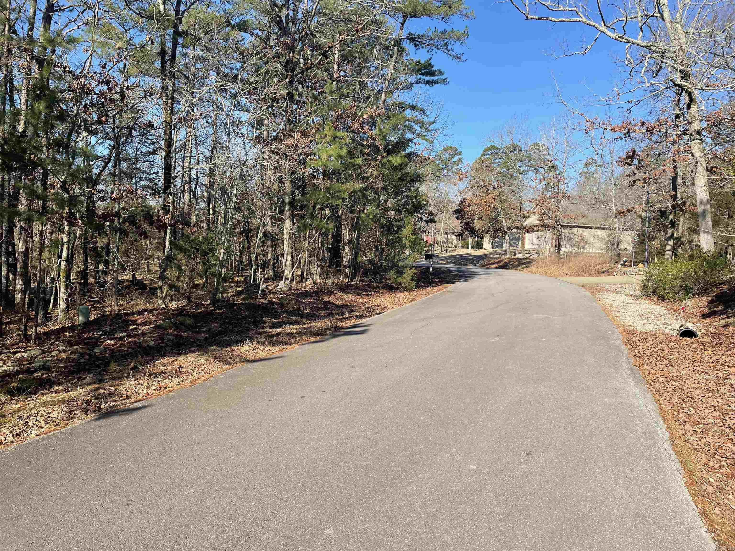 3 Borbollon  Hot Springs Village, AR