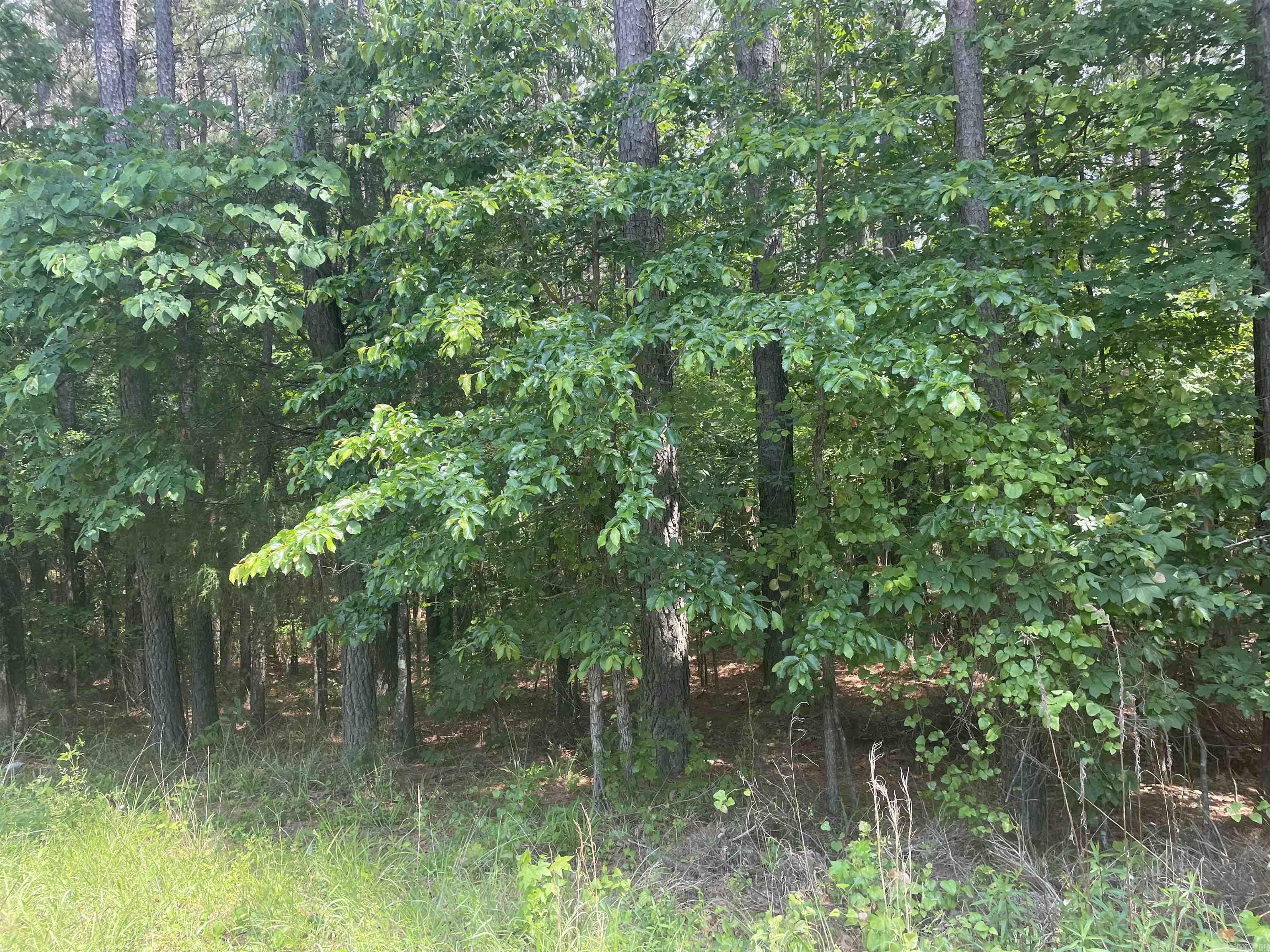 26 Glorieto  Hot Springs Village, AR