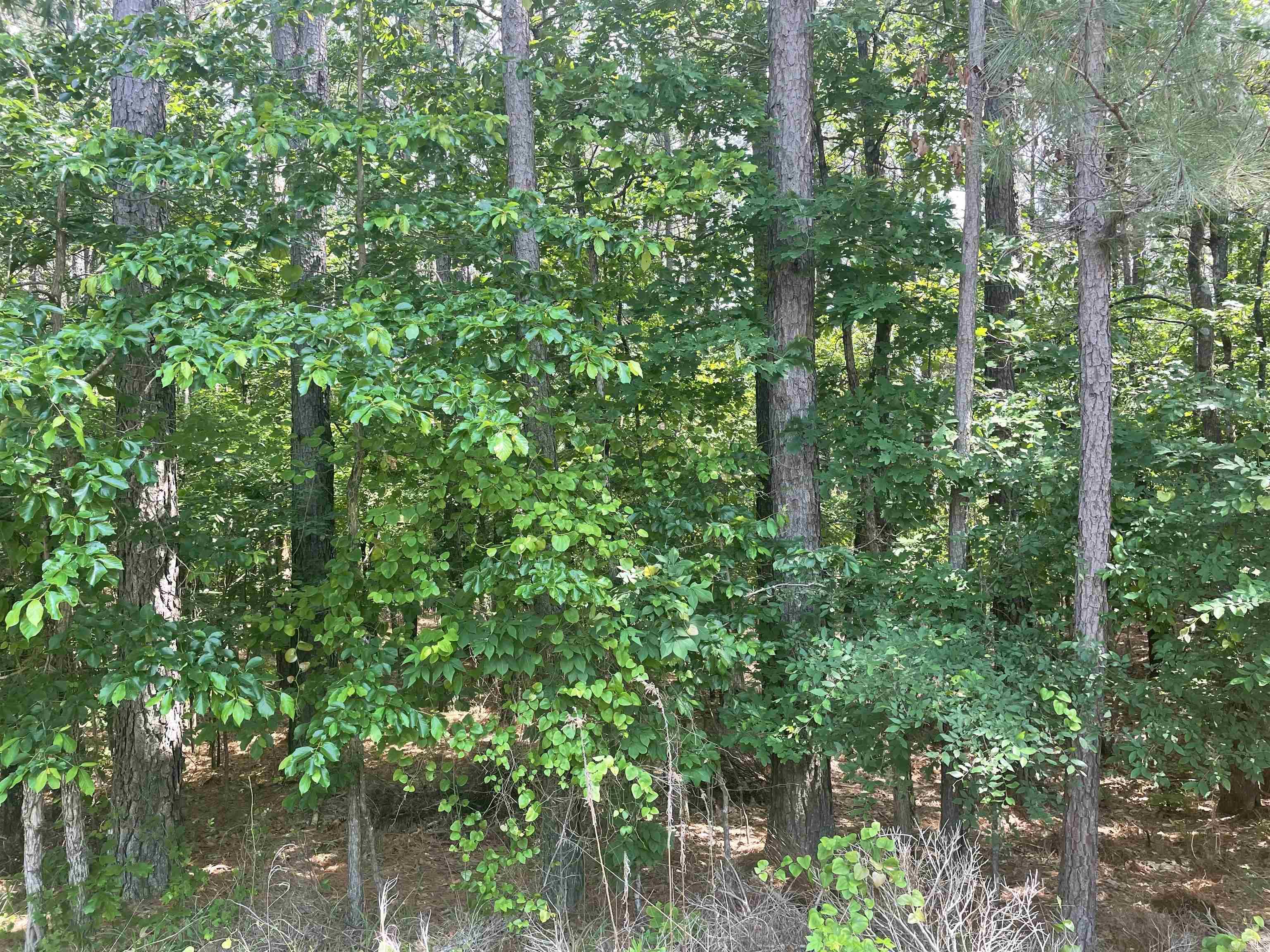 26 Glorieto  Hot Springs Village, AR