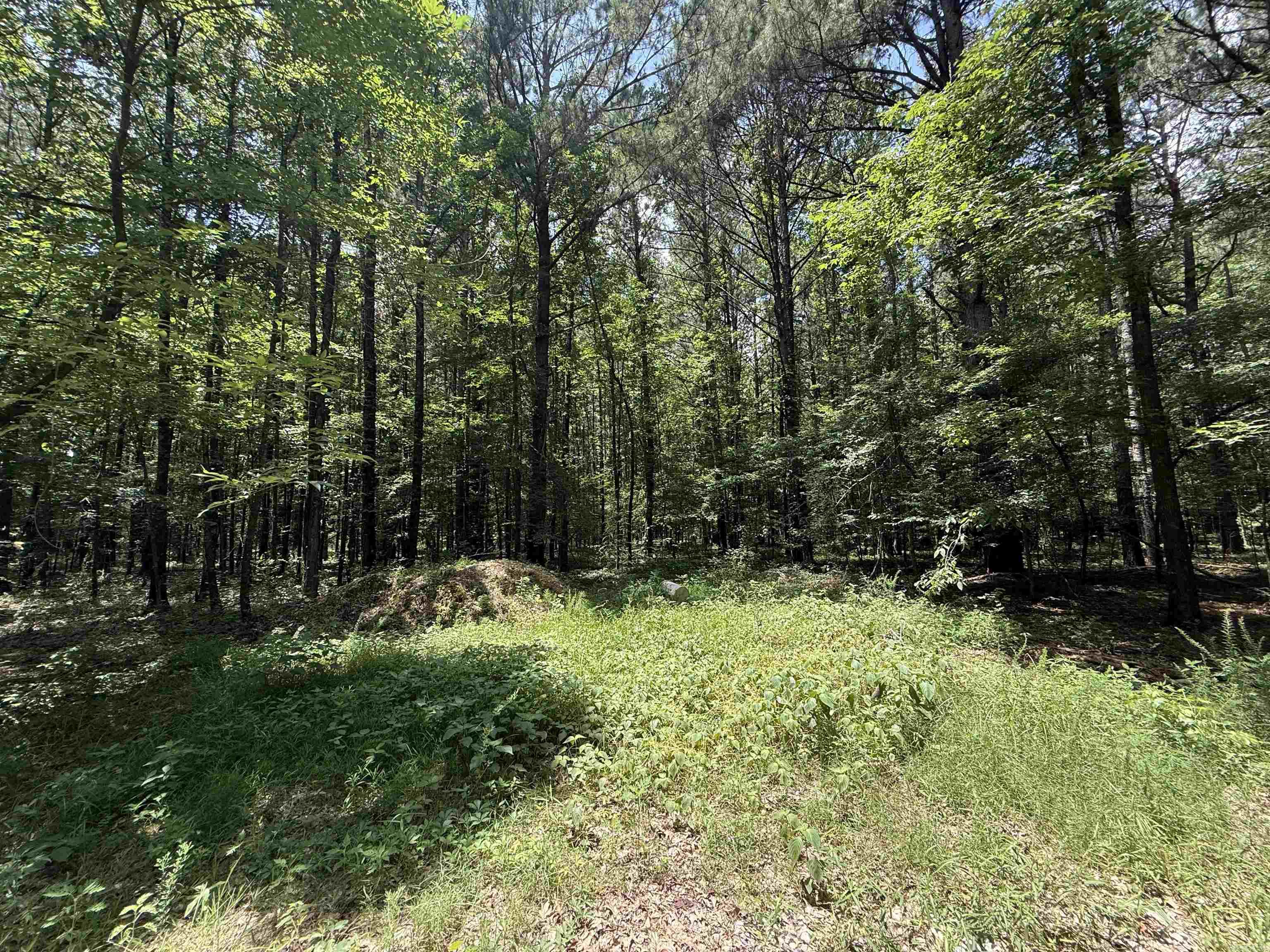 398 Barton Bethel Road Nashville, AR 71852