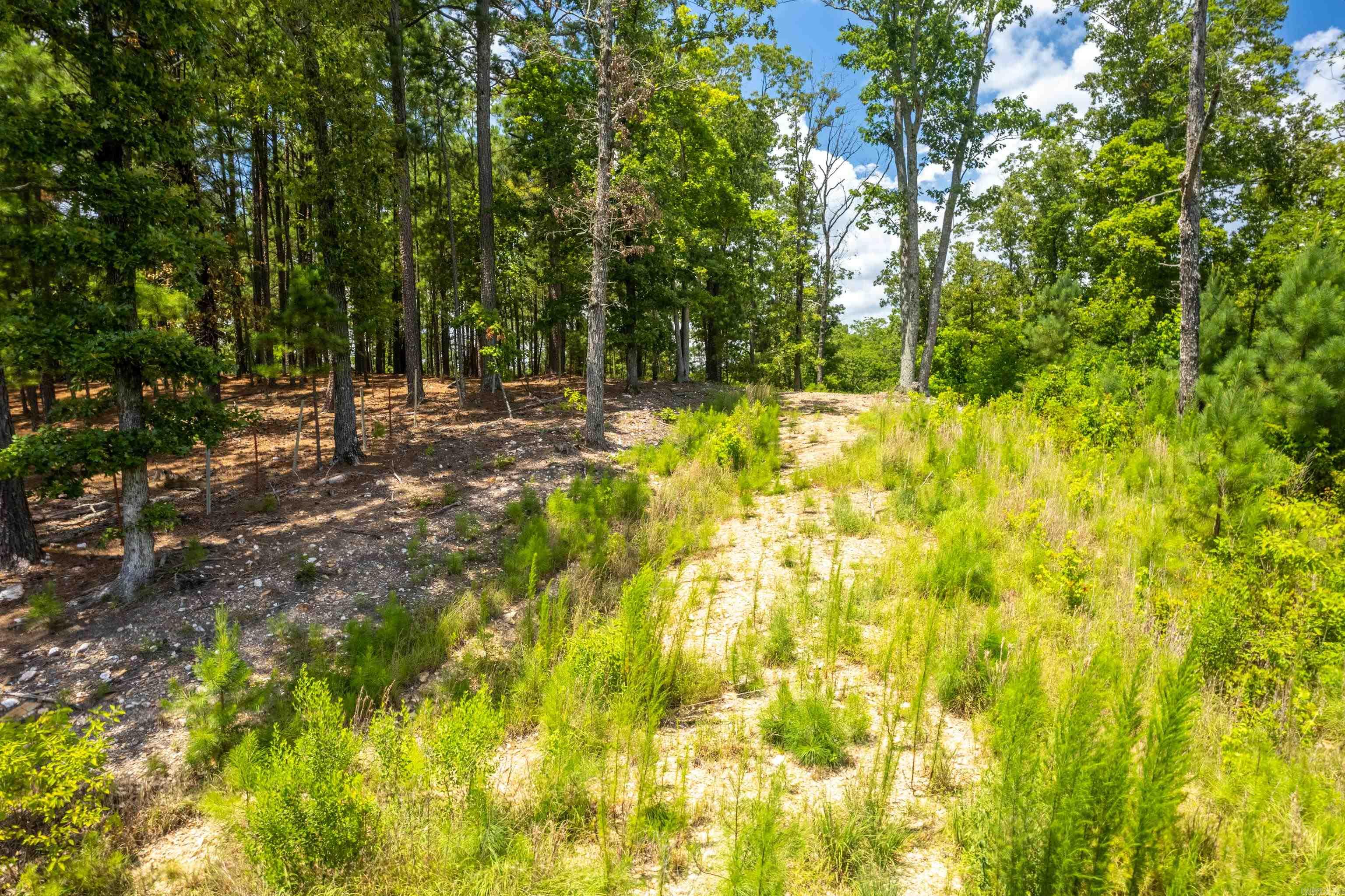 4713 Jackman  Benton, AR