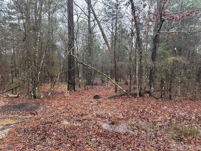 20 Jubileo  Hot Springs Village, AR