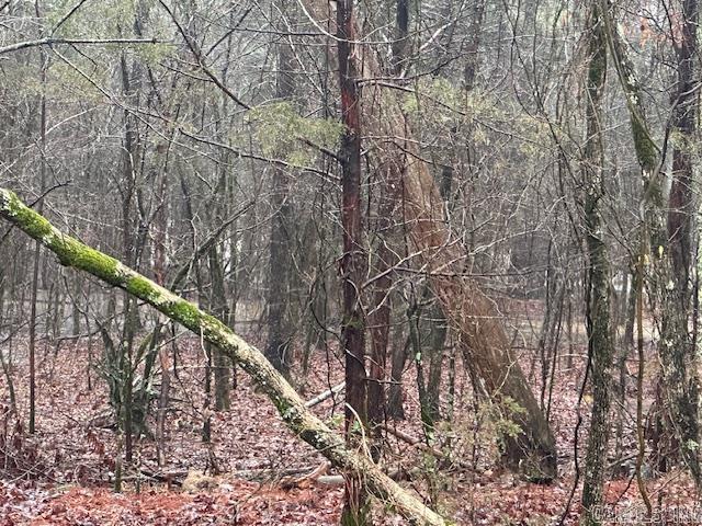20 Jubileo  Hot Springs Village, AR