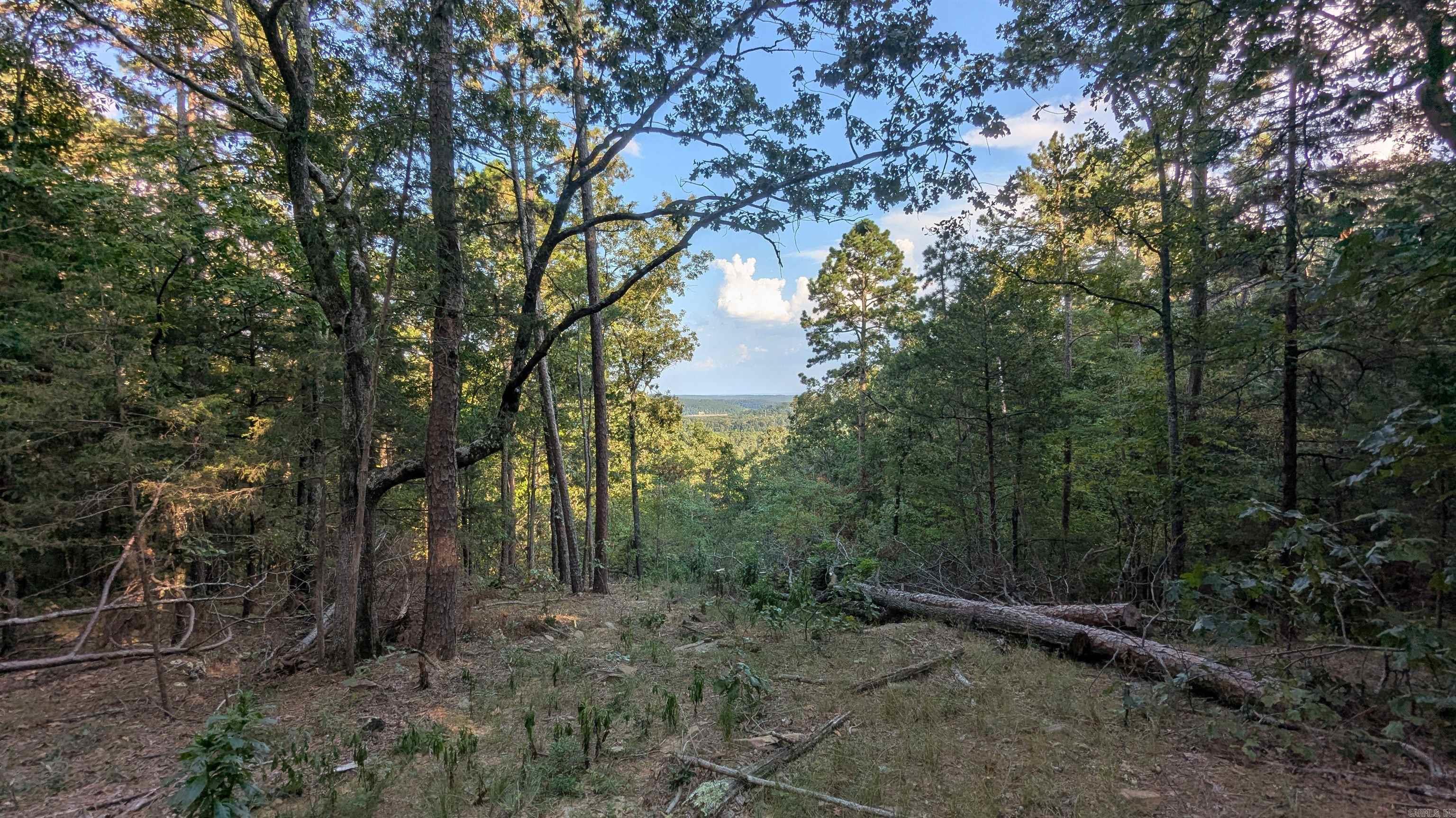 161 Mayhand  Shirley, AR