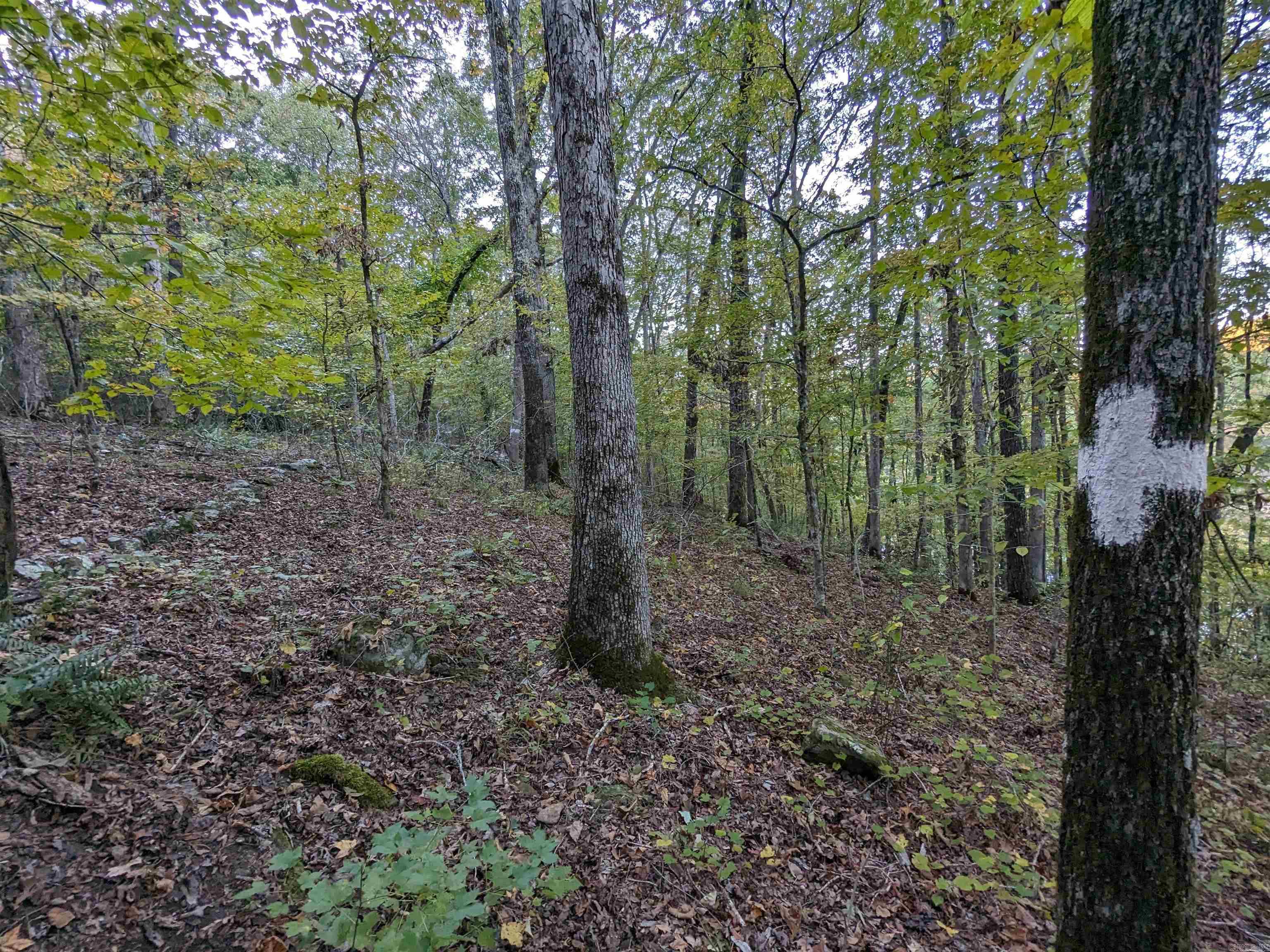 TBD Mayhand  Shirley, AR
