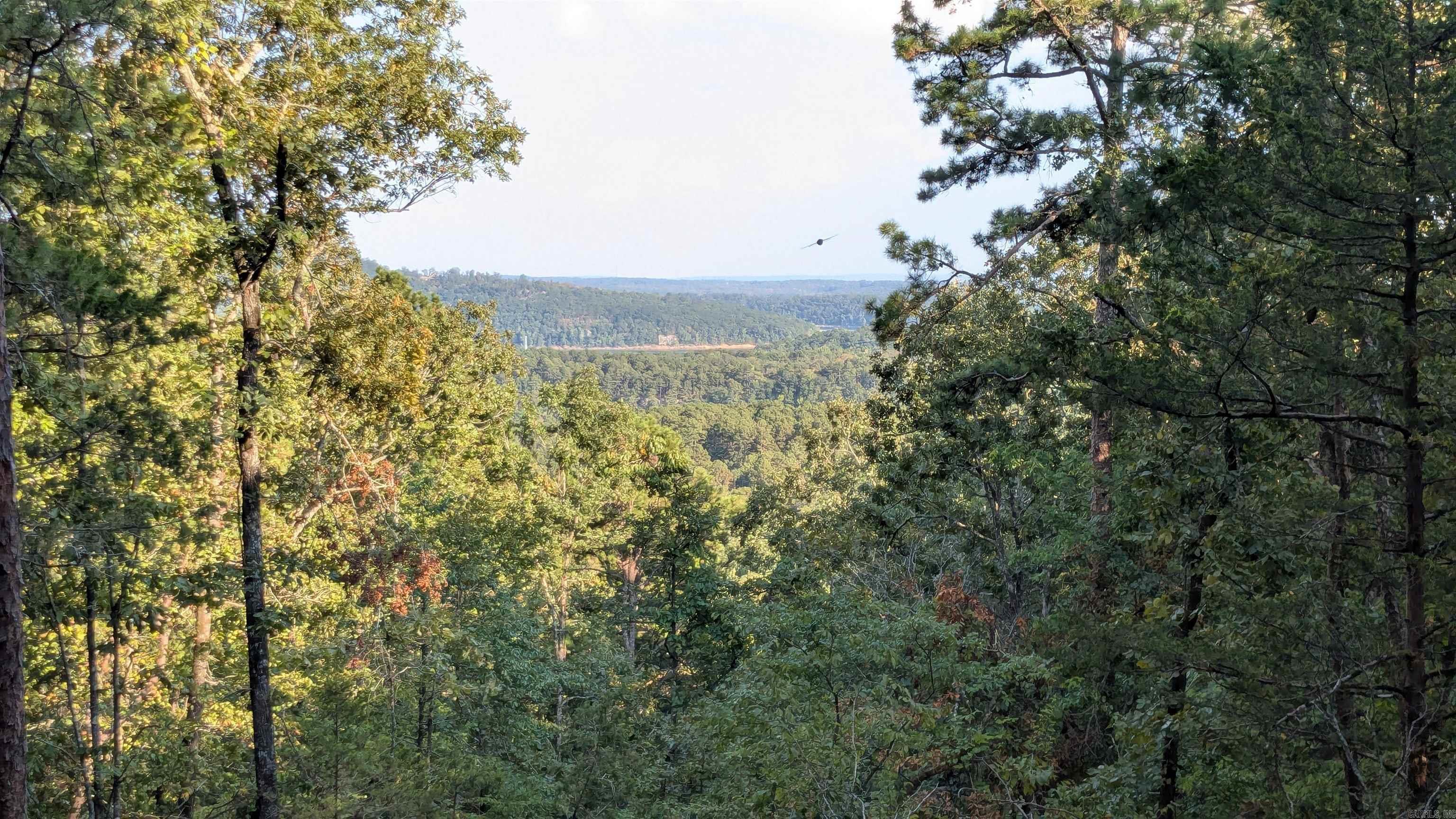 161 Mayhand  Shirley, AR