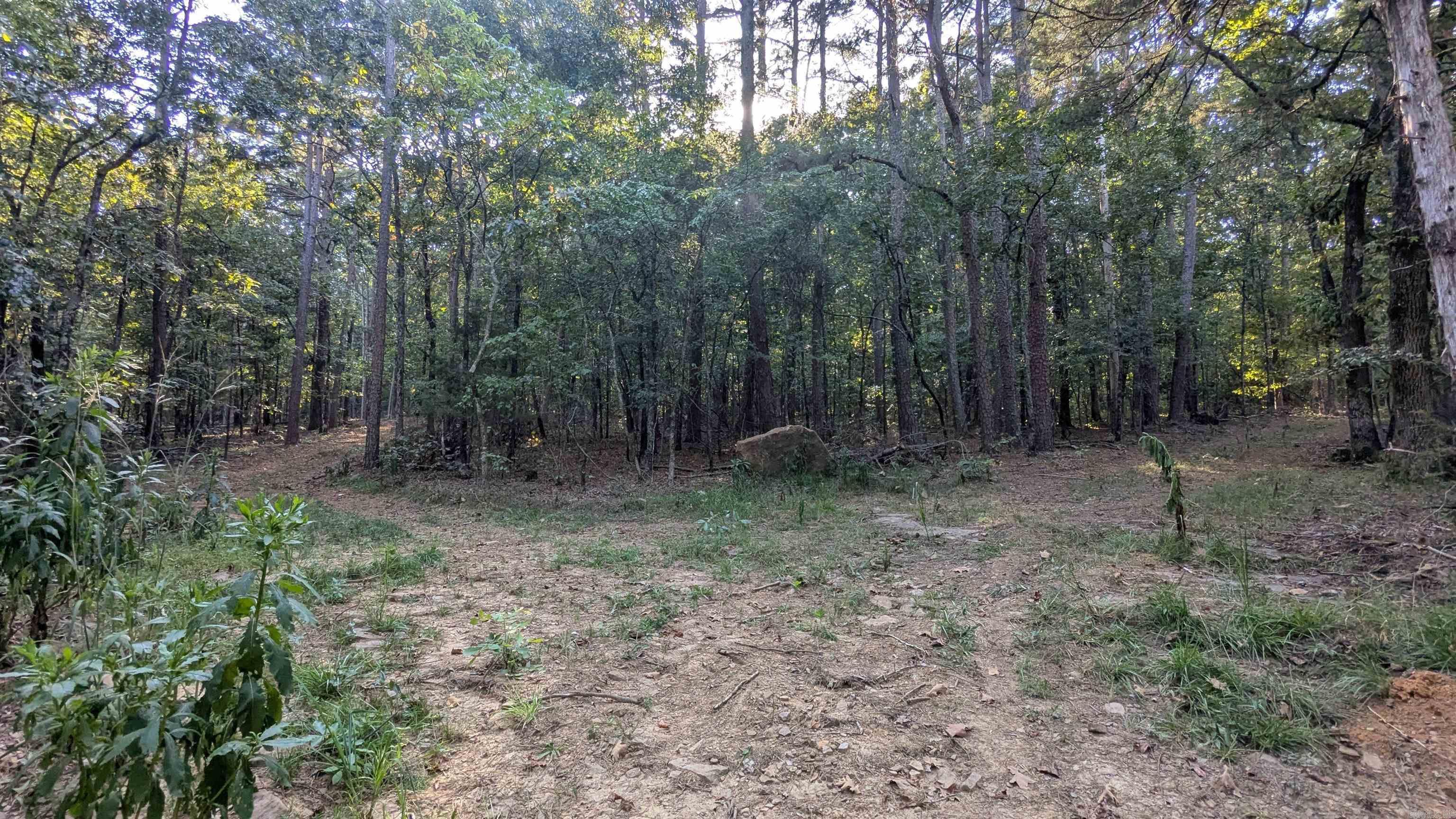 161 Mayhand  Shirley, AR