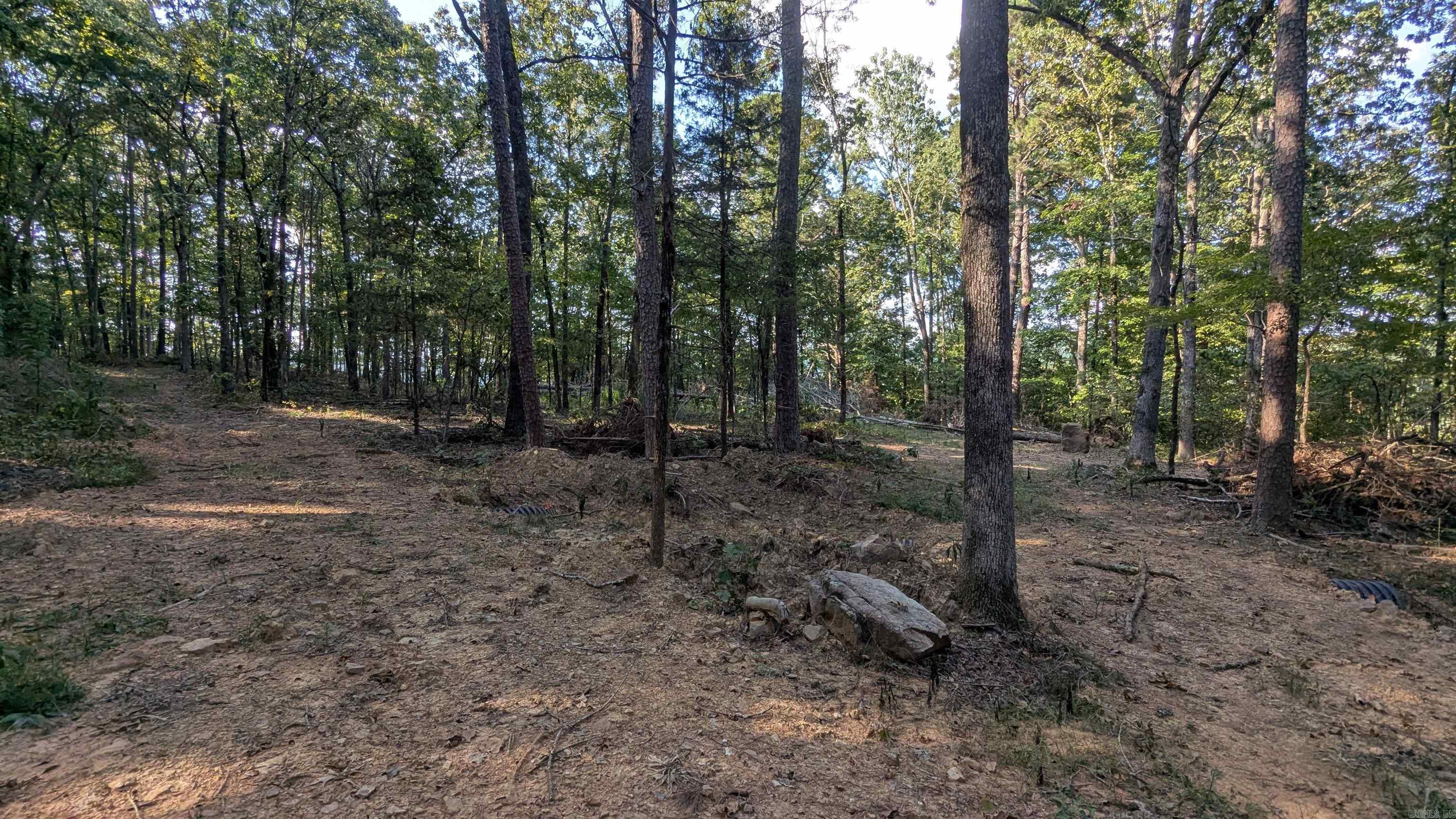 161 Mayhand  Shirley, AR