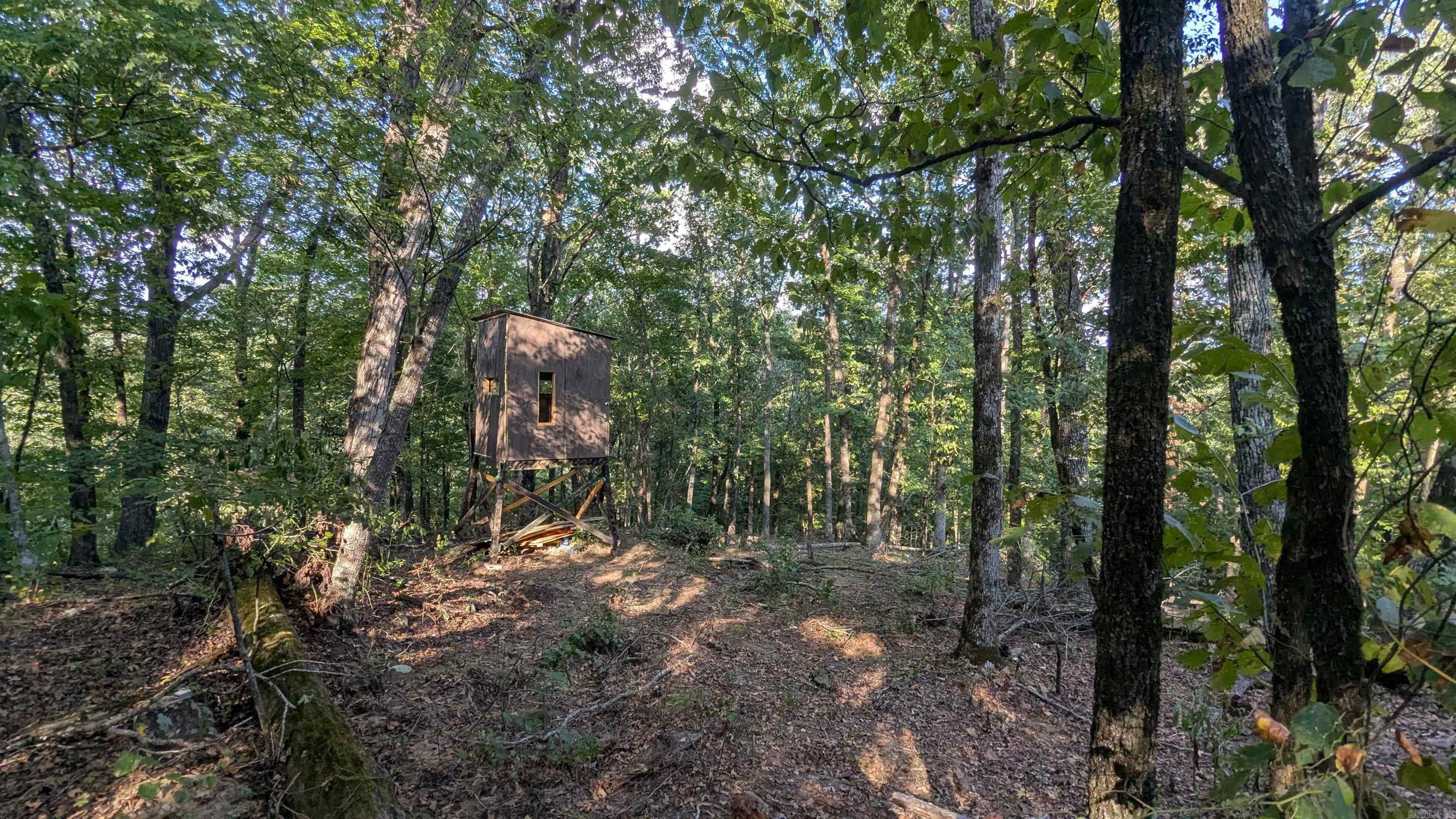 161 Mayhand  Shirley, AR