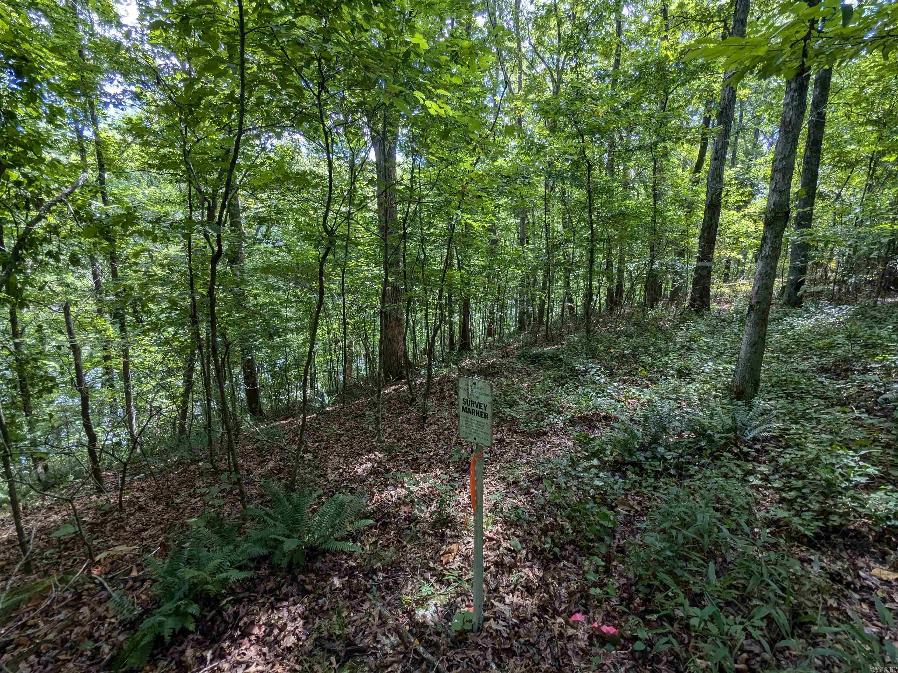 161 Mayhand  Shirley, AR