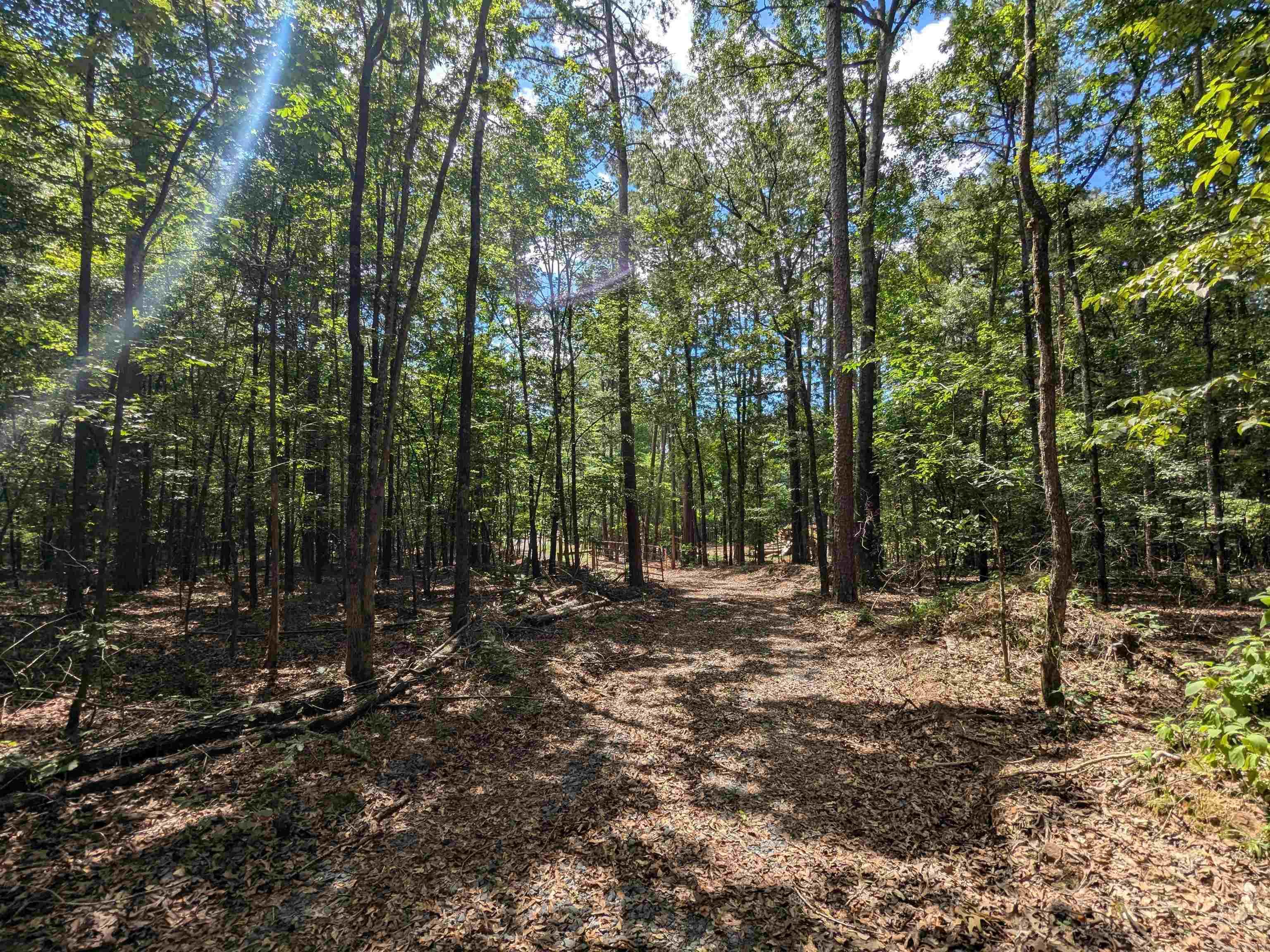 TBD Mayhand  Shirley, AR