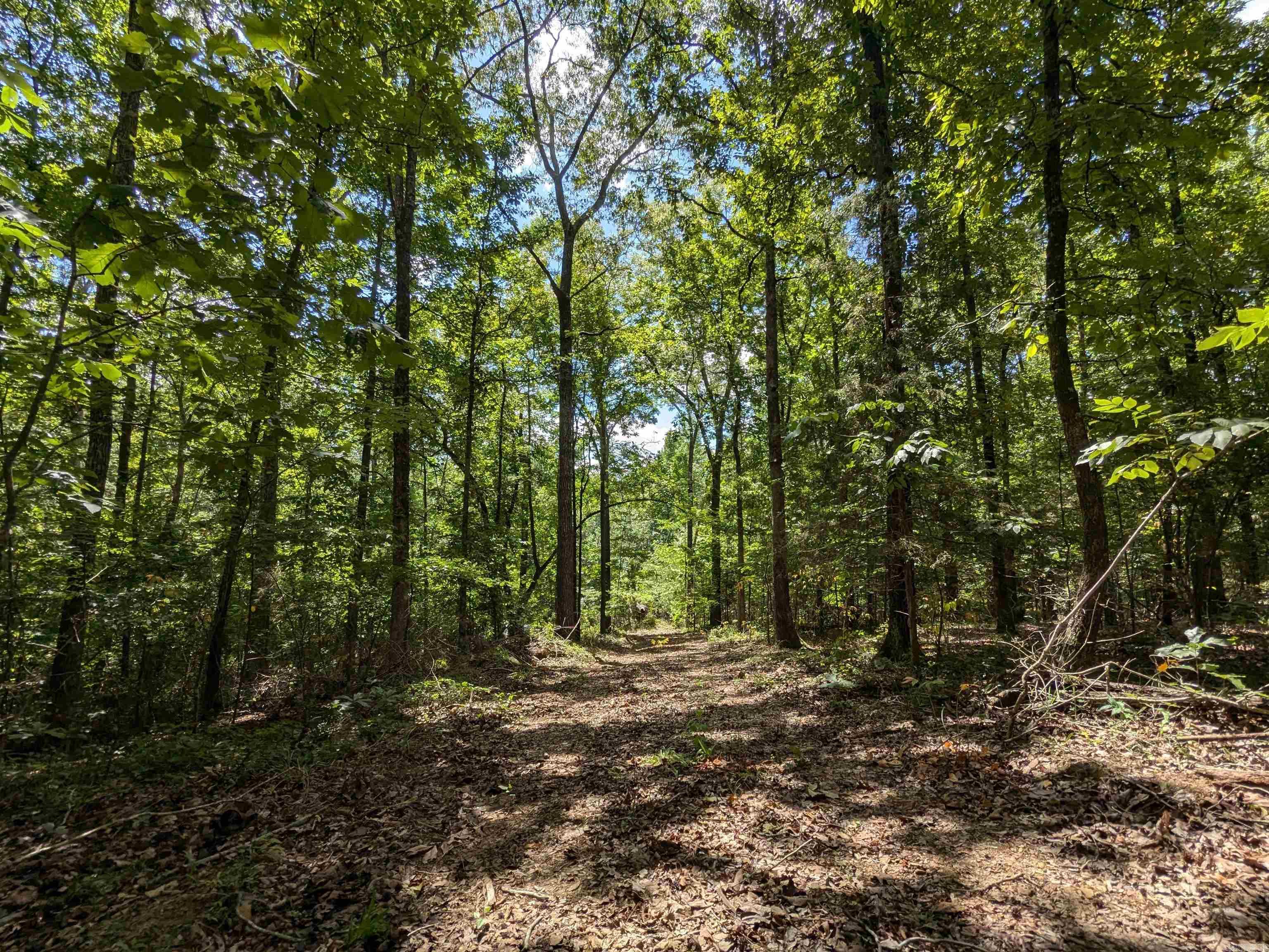 TBD Mayhand  Shirley, AR