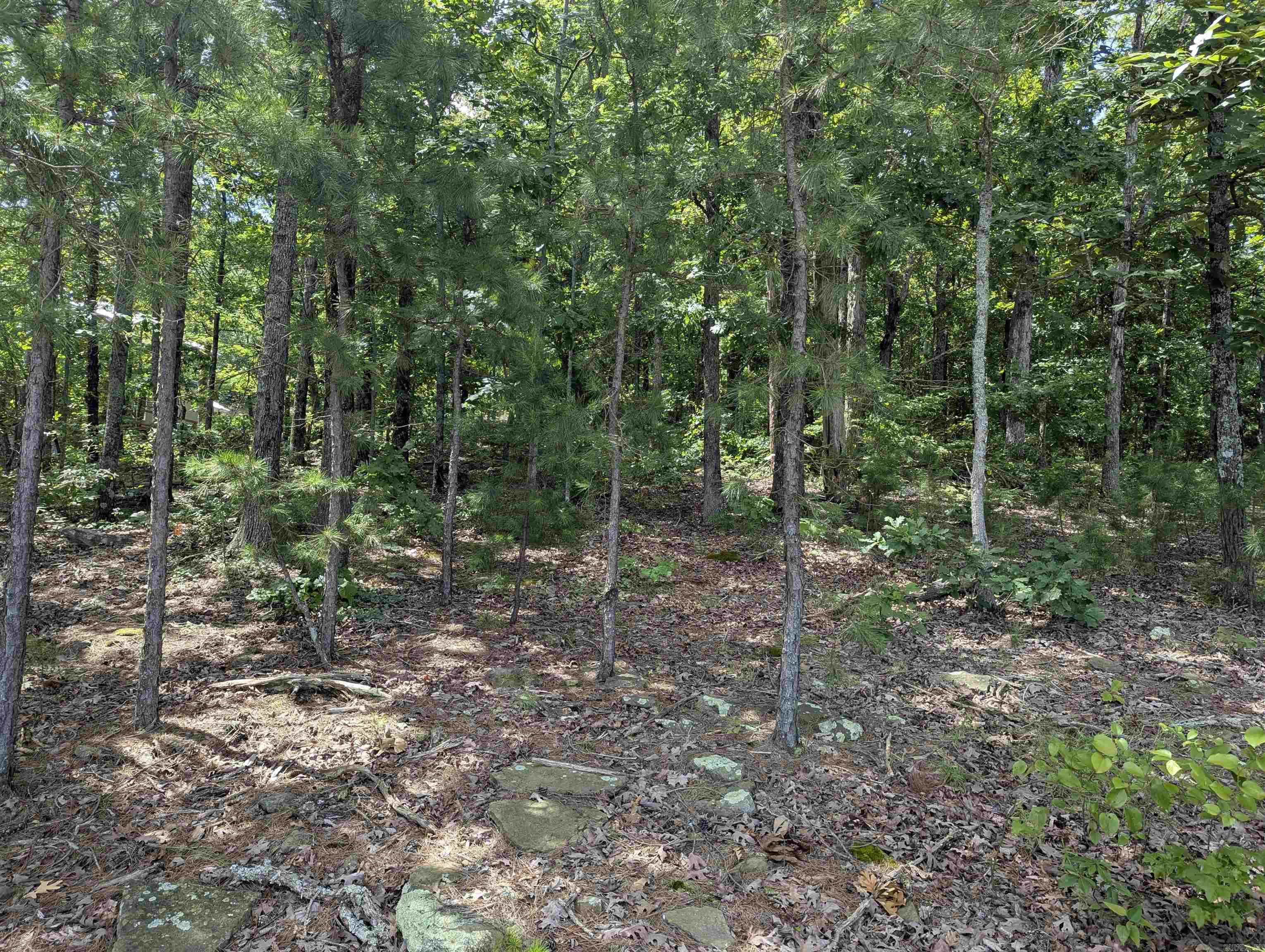 Lot 129 Diamond Bluff Estates  Quitman, AR