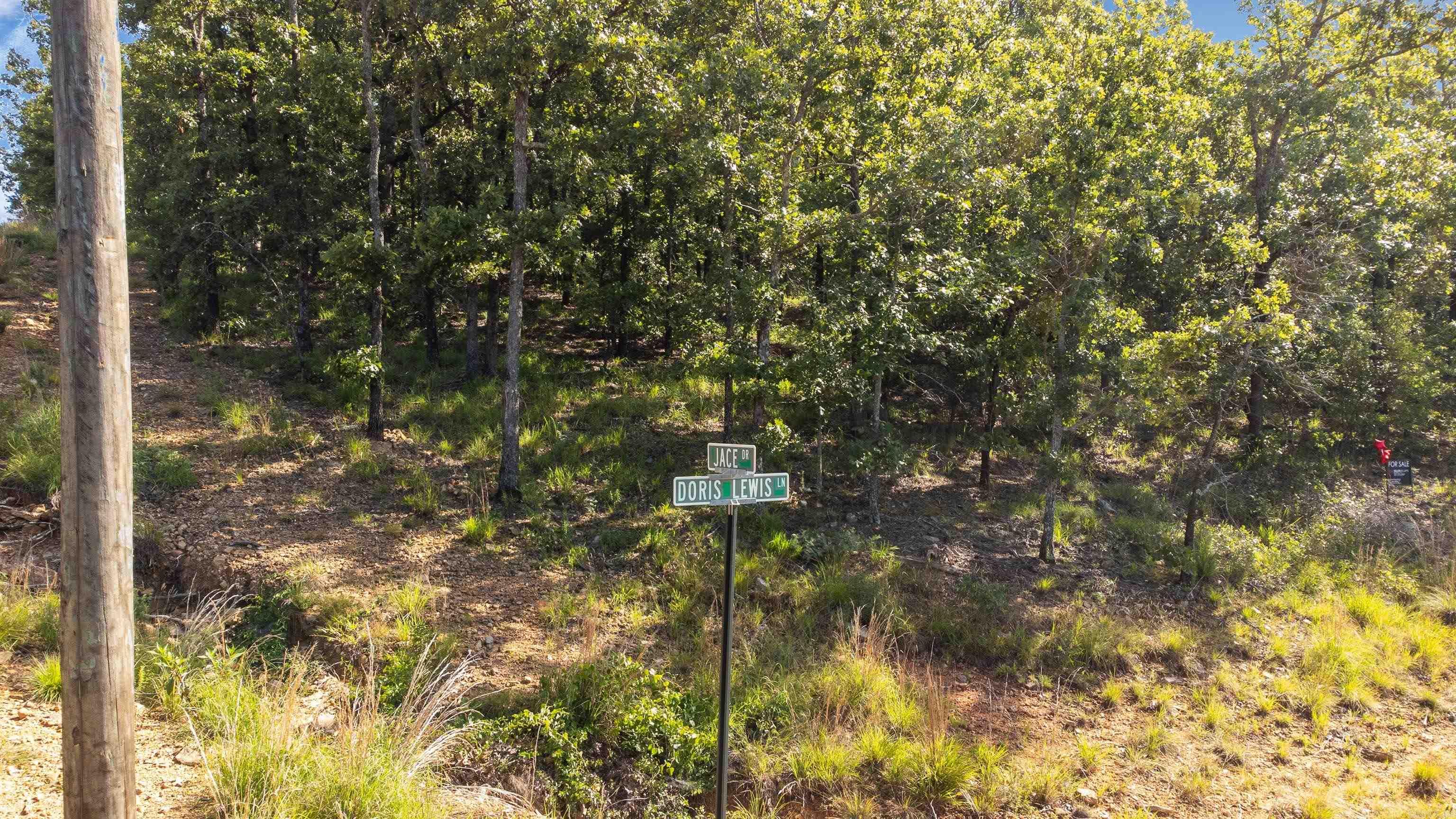 Lot 30 Doris Lewis  Mayflower, AR