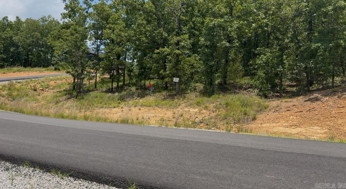 Lot 30 Doris Lewis  Mayflower, AR