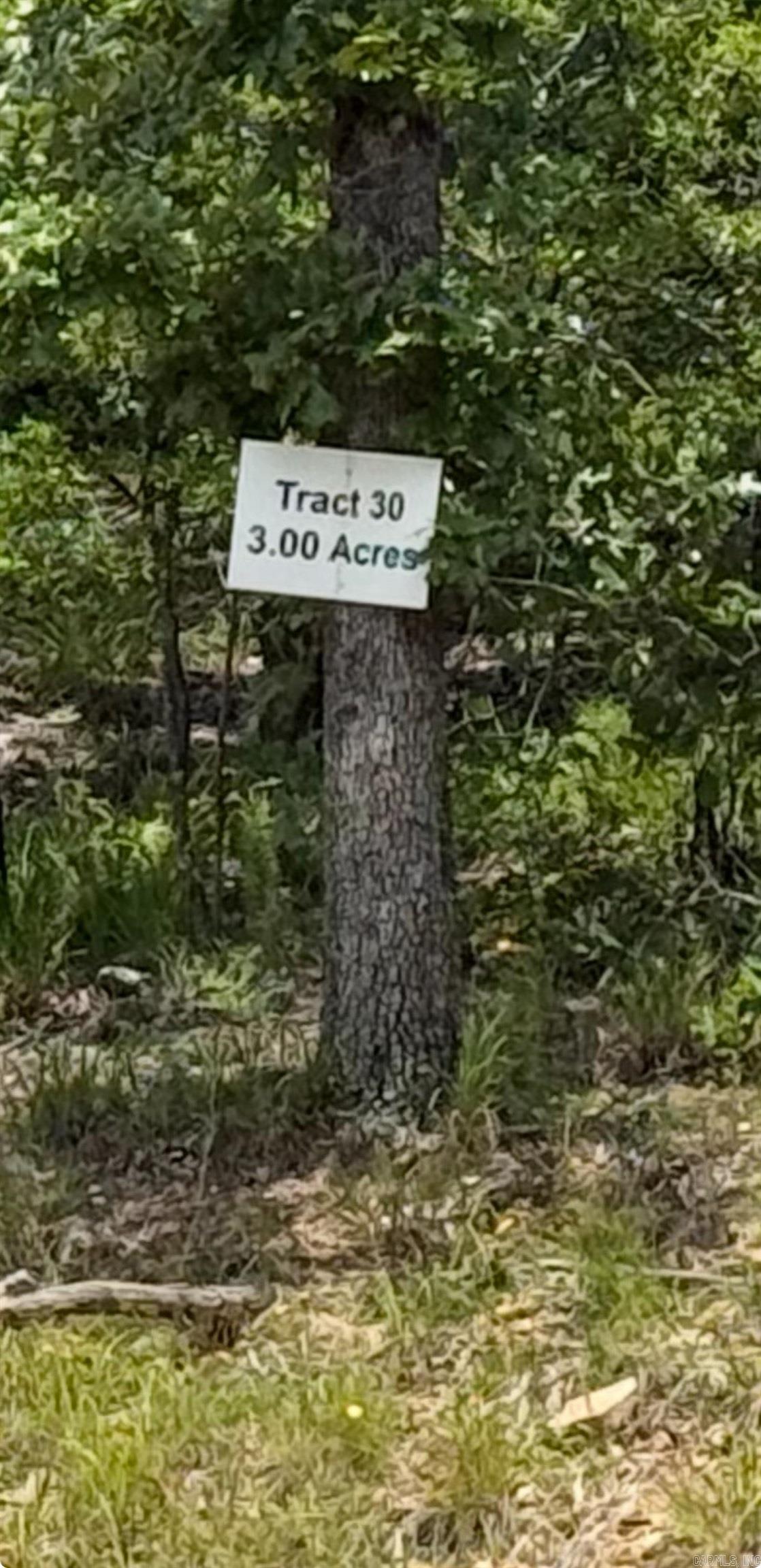 Lot 30 Doris Lewis  Mayflower, AR