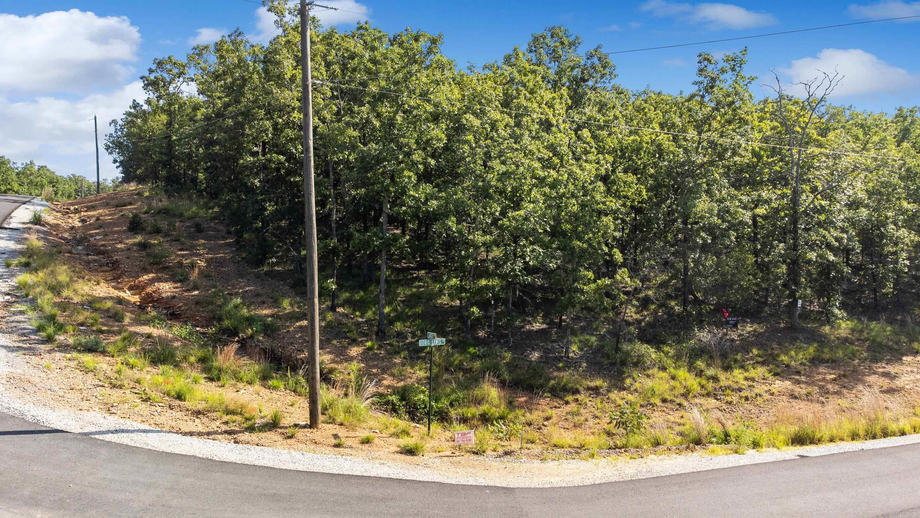 Lot 30 Doris Lewis  Mayflower, AR