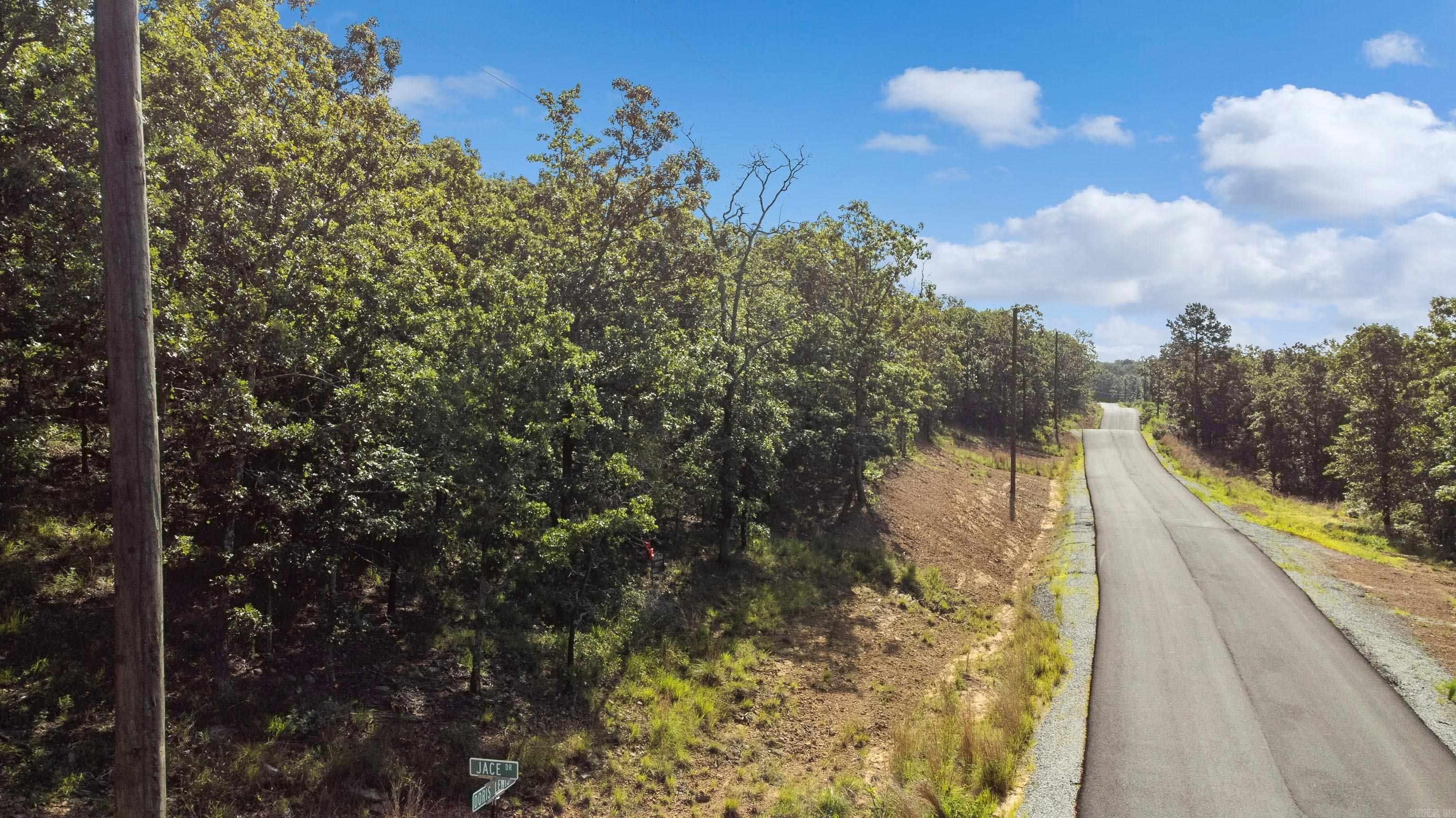 Lot 30 Doris Lewis  Mayflower, AR