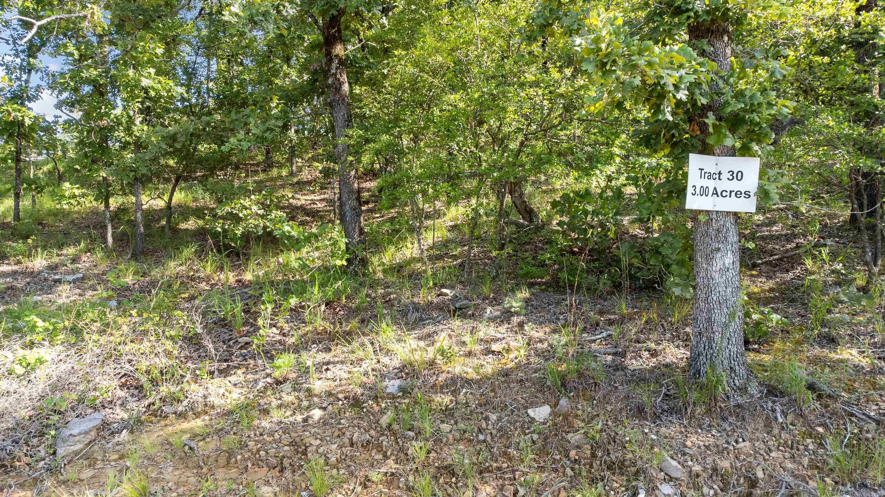Lot 30 Doris Lewis  Mayflower, AR