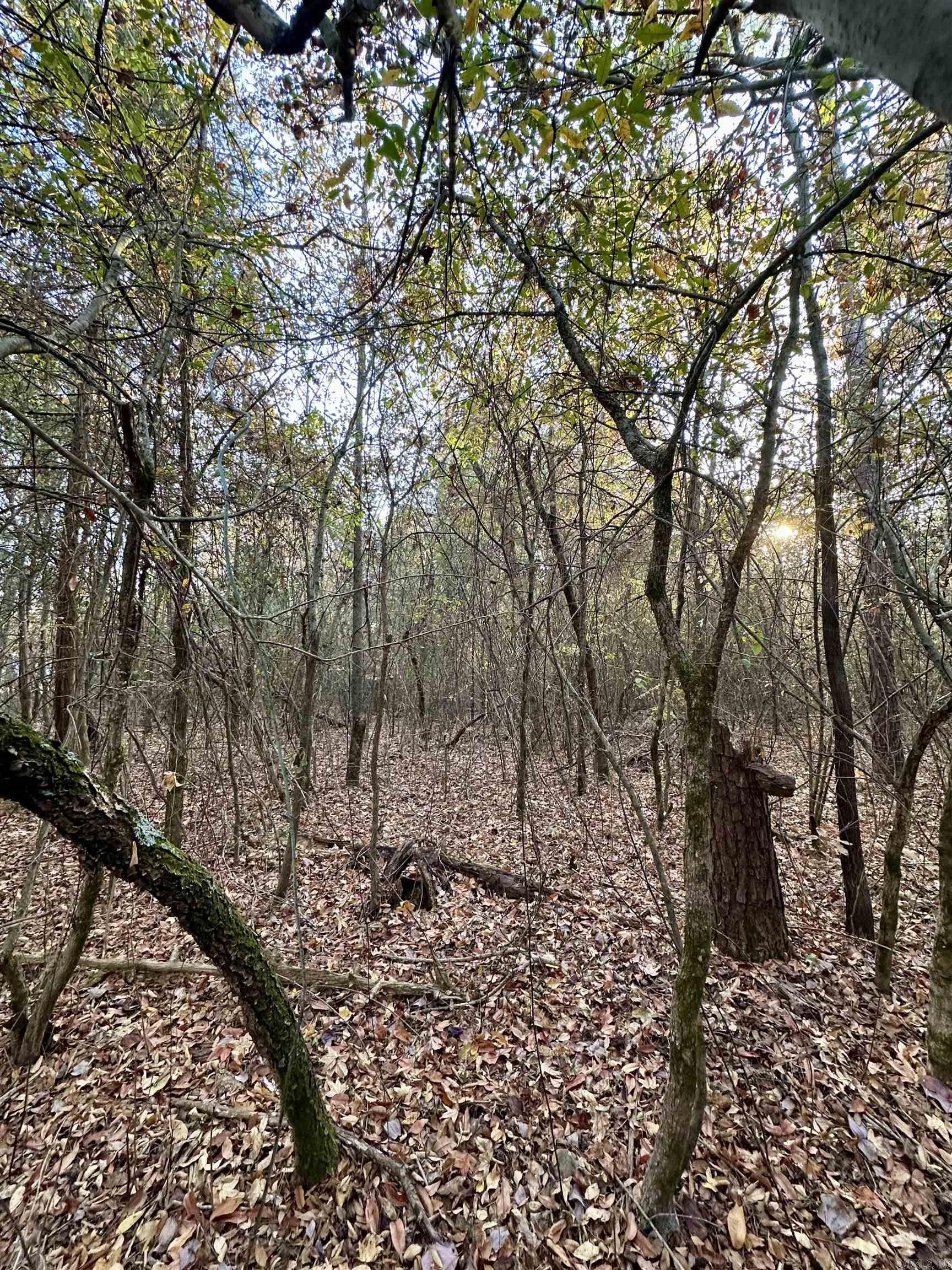 Lots 17-21 Westmoreland Heights  Mena, AR