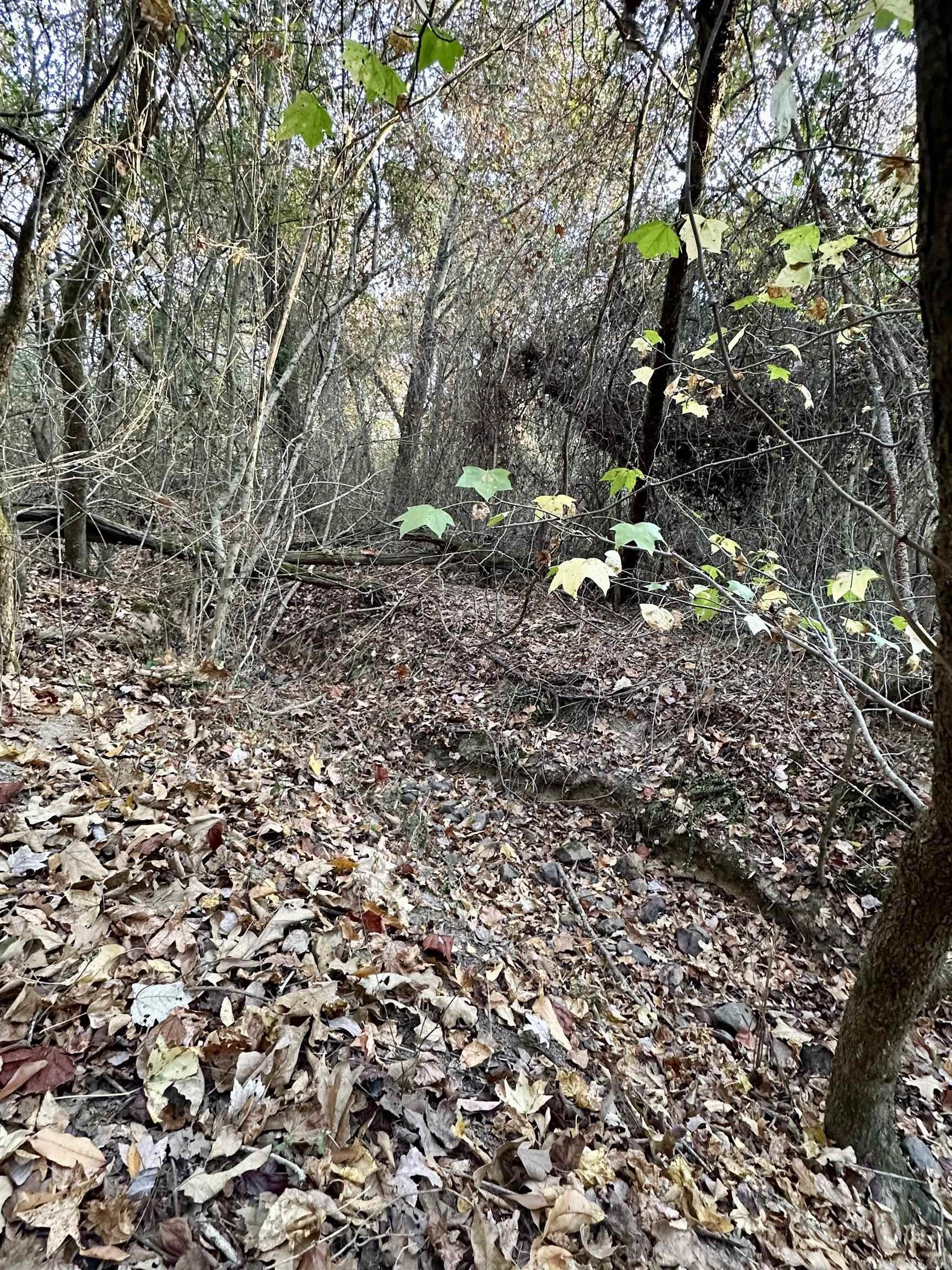 Lots 17-21 Westmoreland Heights  Mena, AR