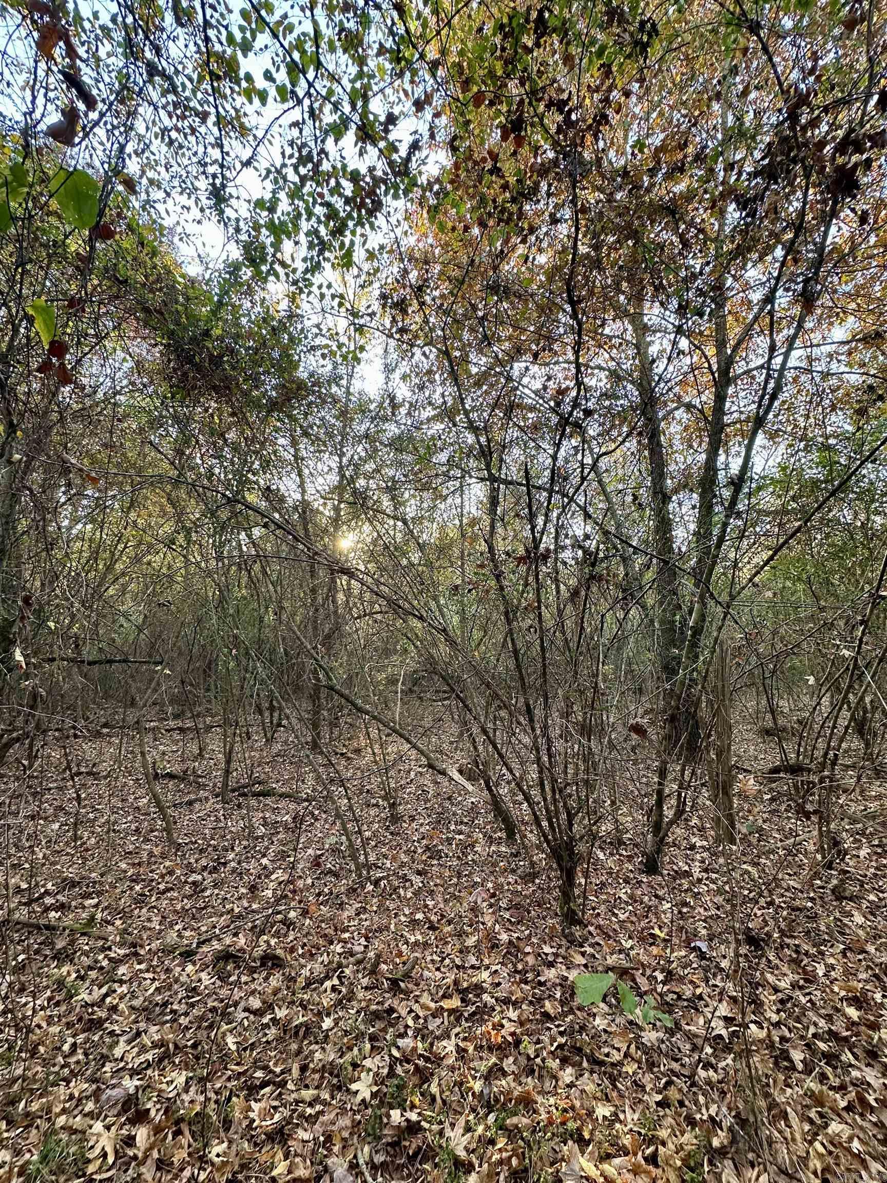 Lots 17-21 Westmoreland Heights  Mena, AR