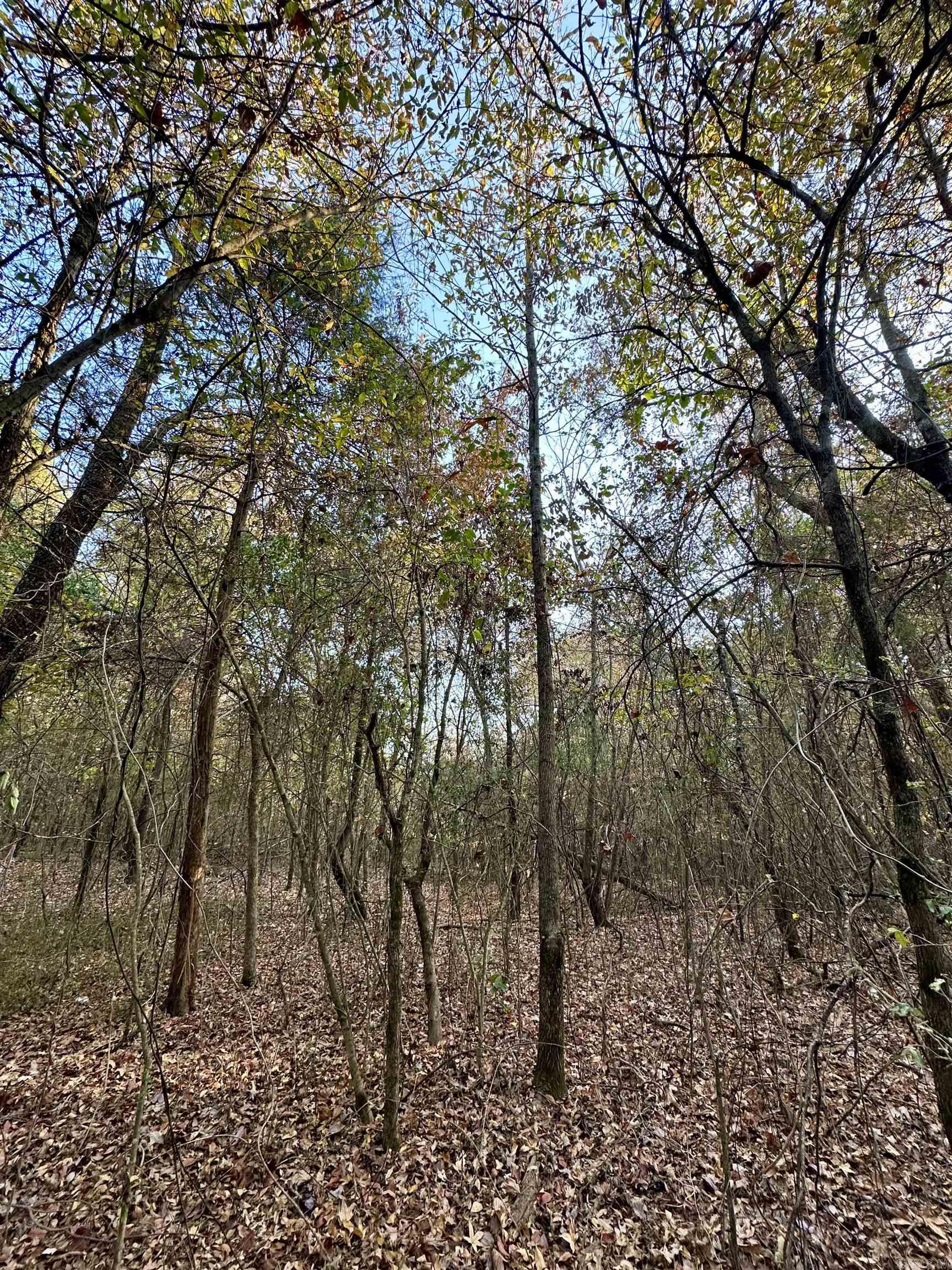 Lots 17-21 Westmoreland Heights  Mena, AR