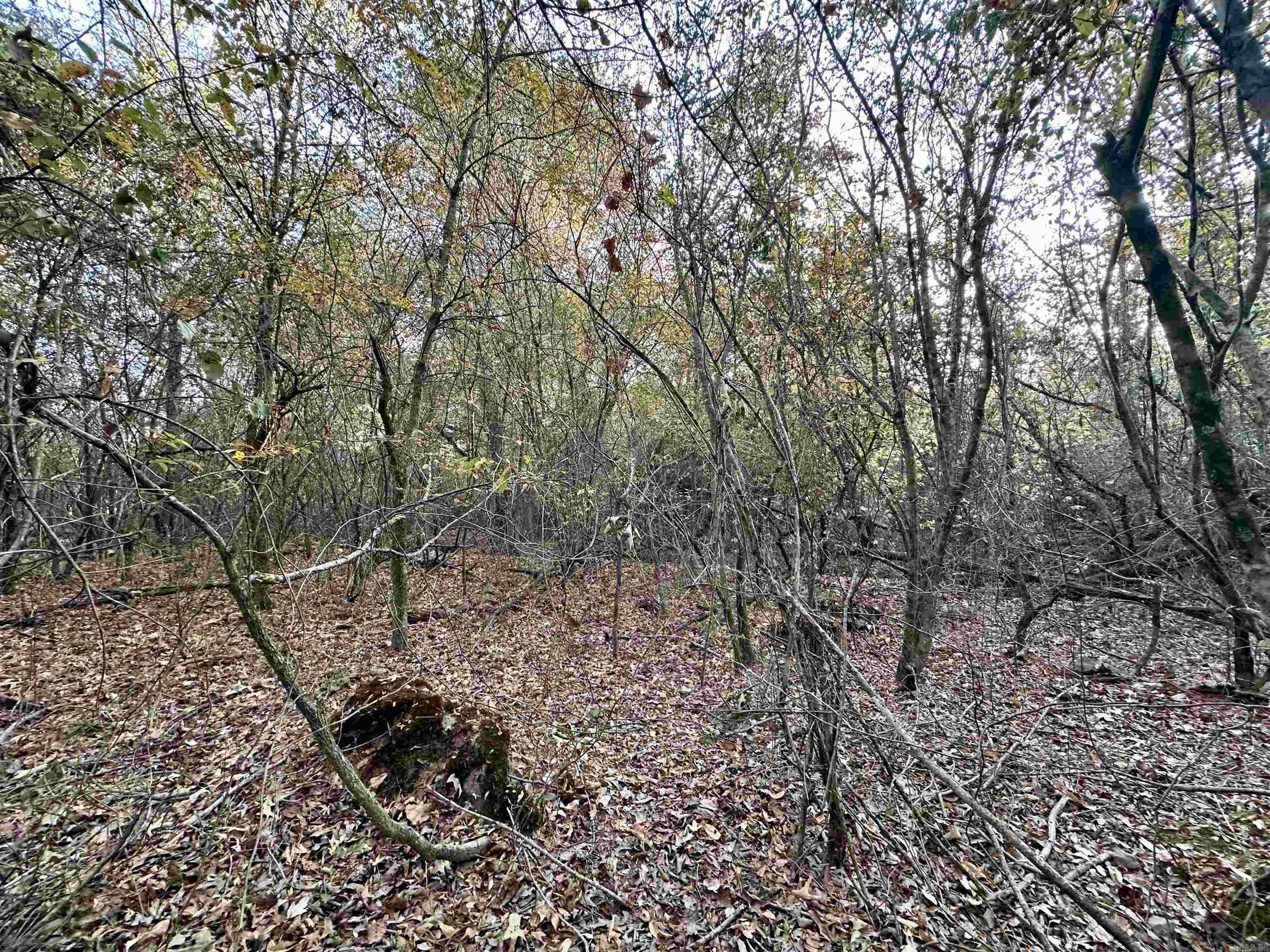 Lots 17-21 Westmoreland Heights  Mena, AR