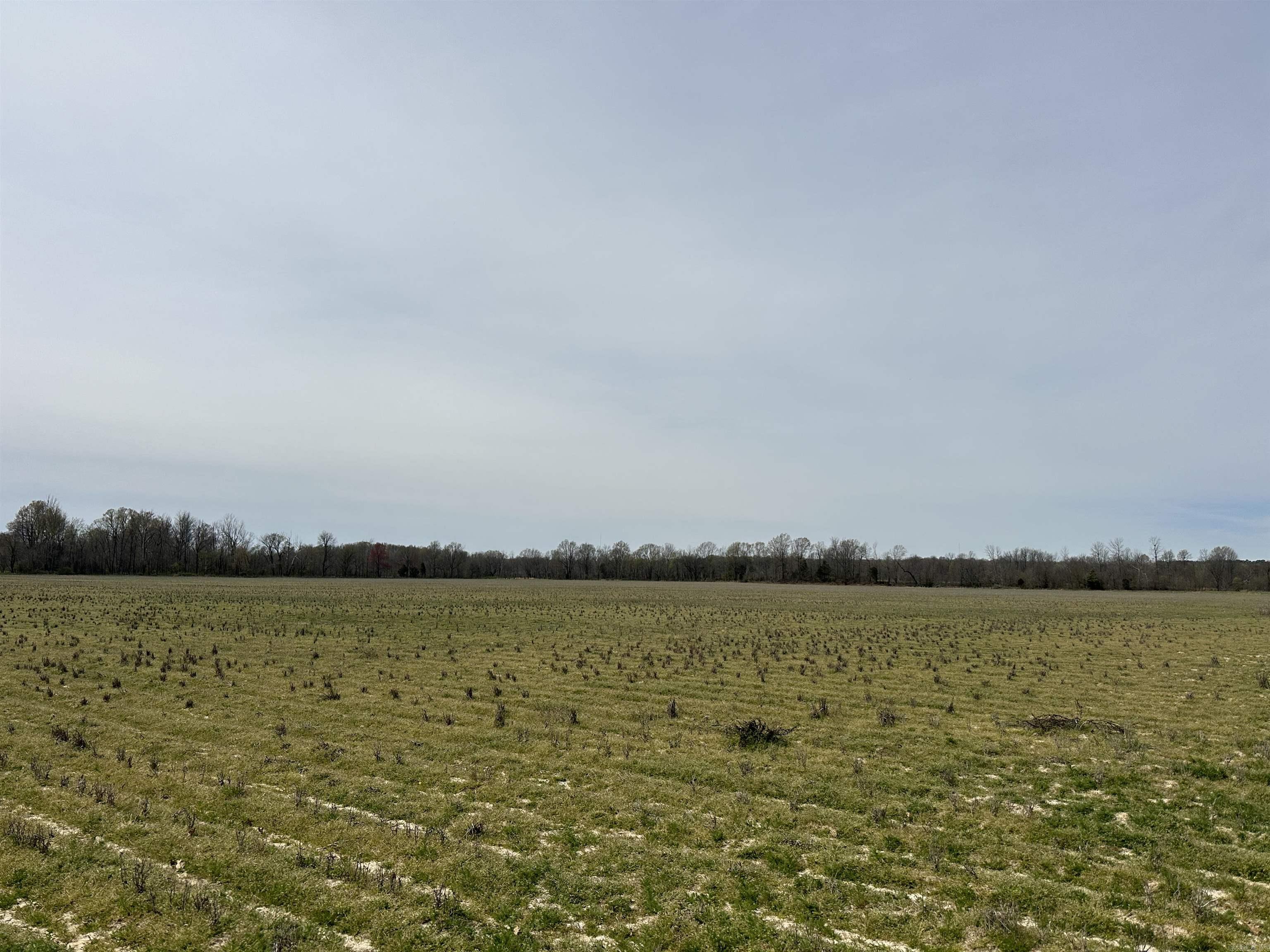 0 Hwy 141  Jonesboro, AR