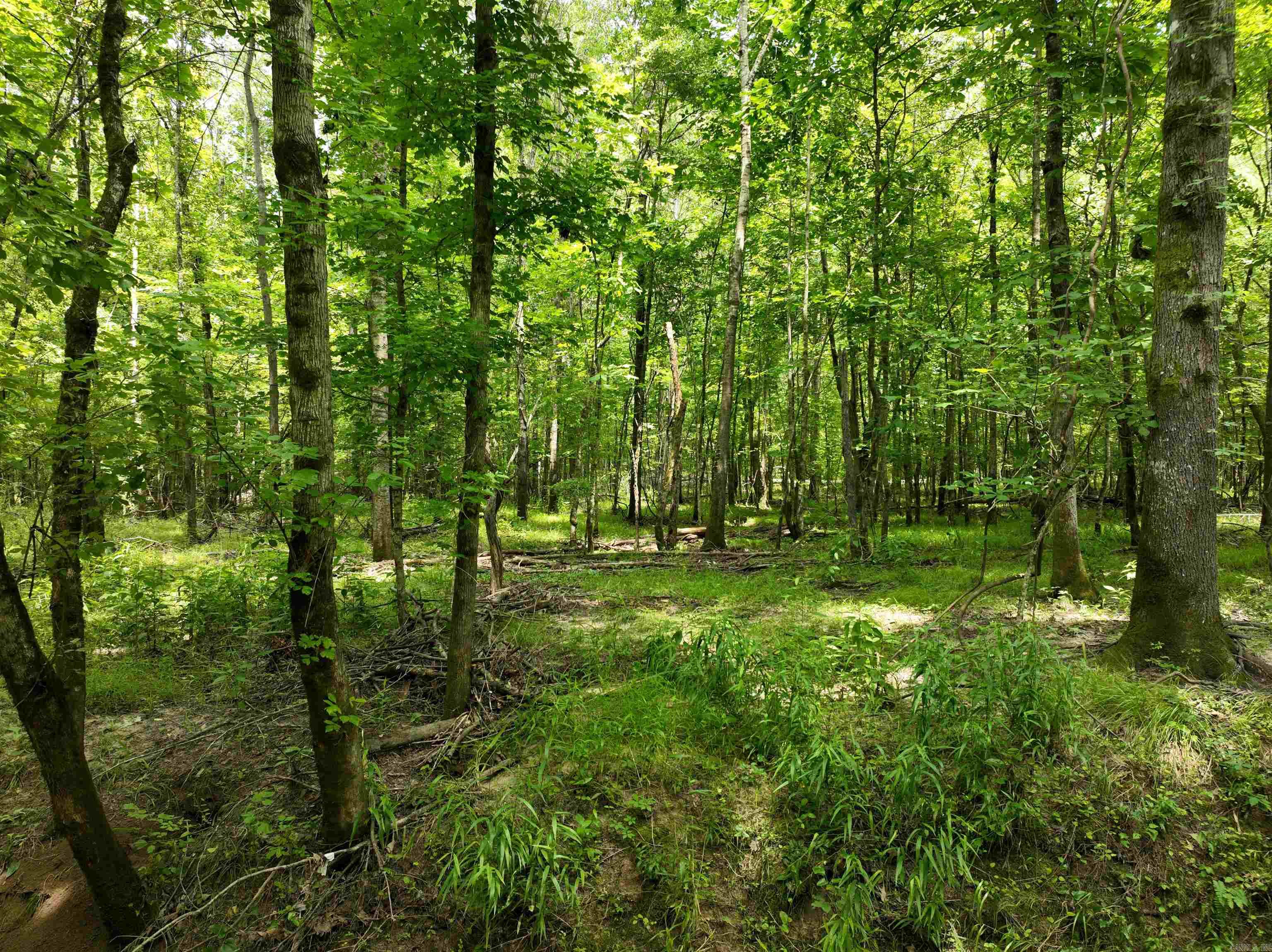 0000 53  Gurdon, AR