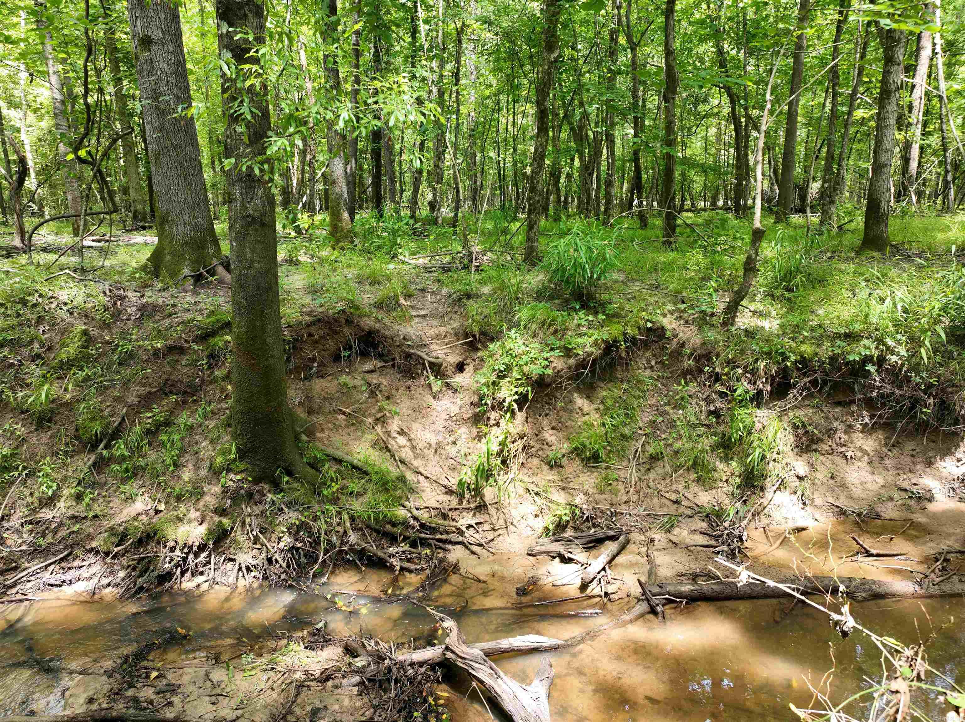 0000 53  Gurdon, AR