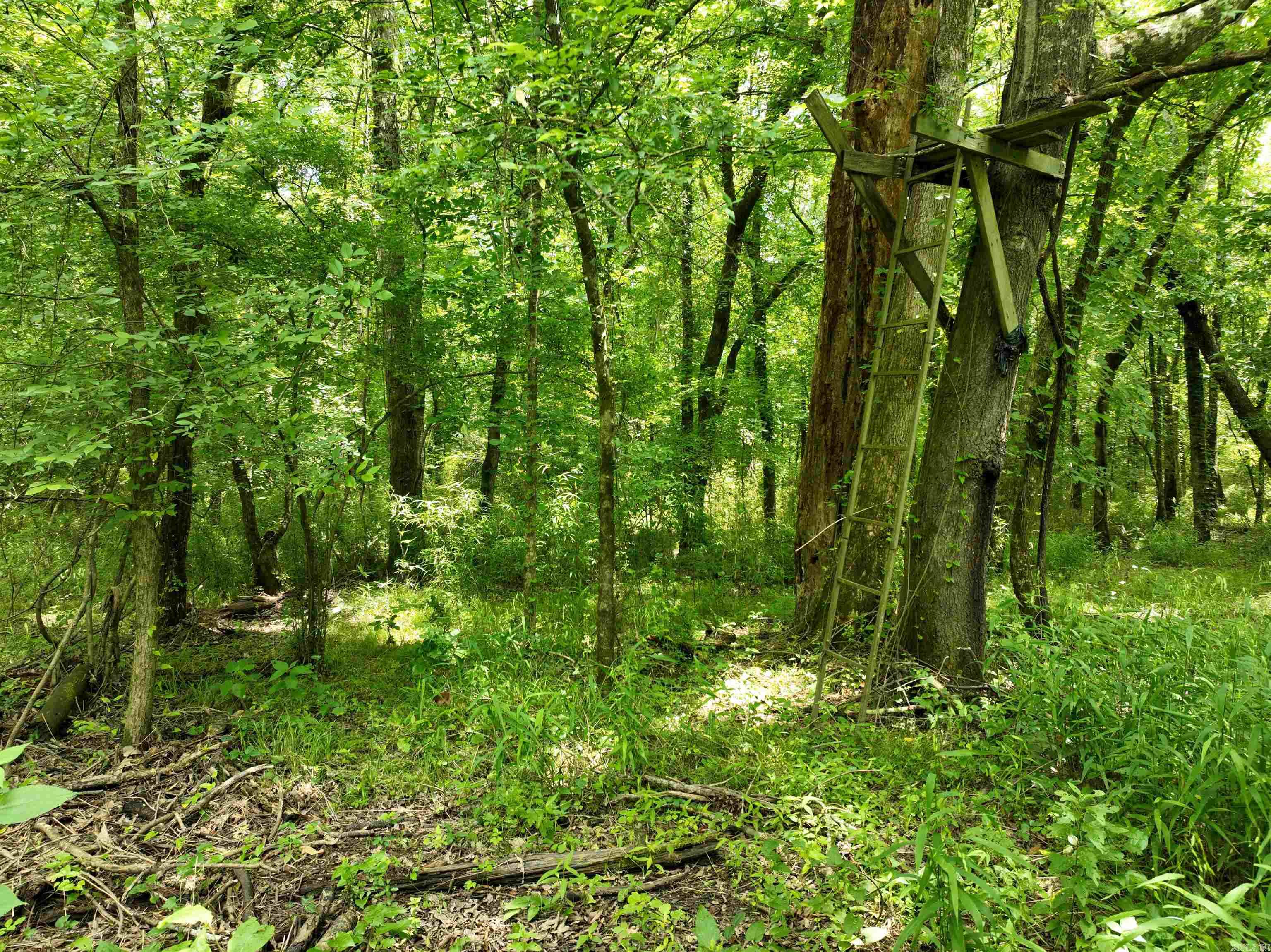 0000 53  Gurdon, AR