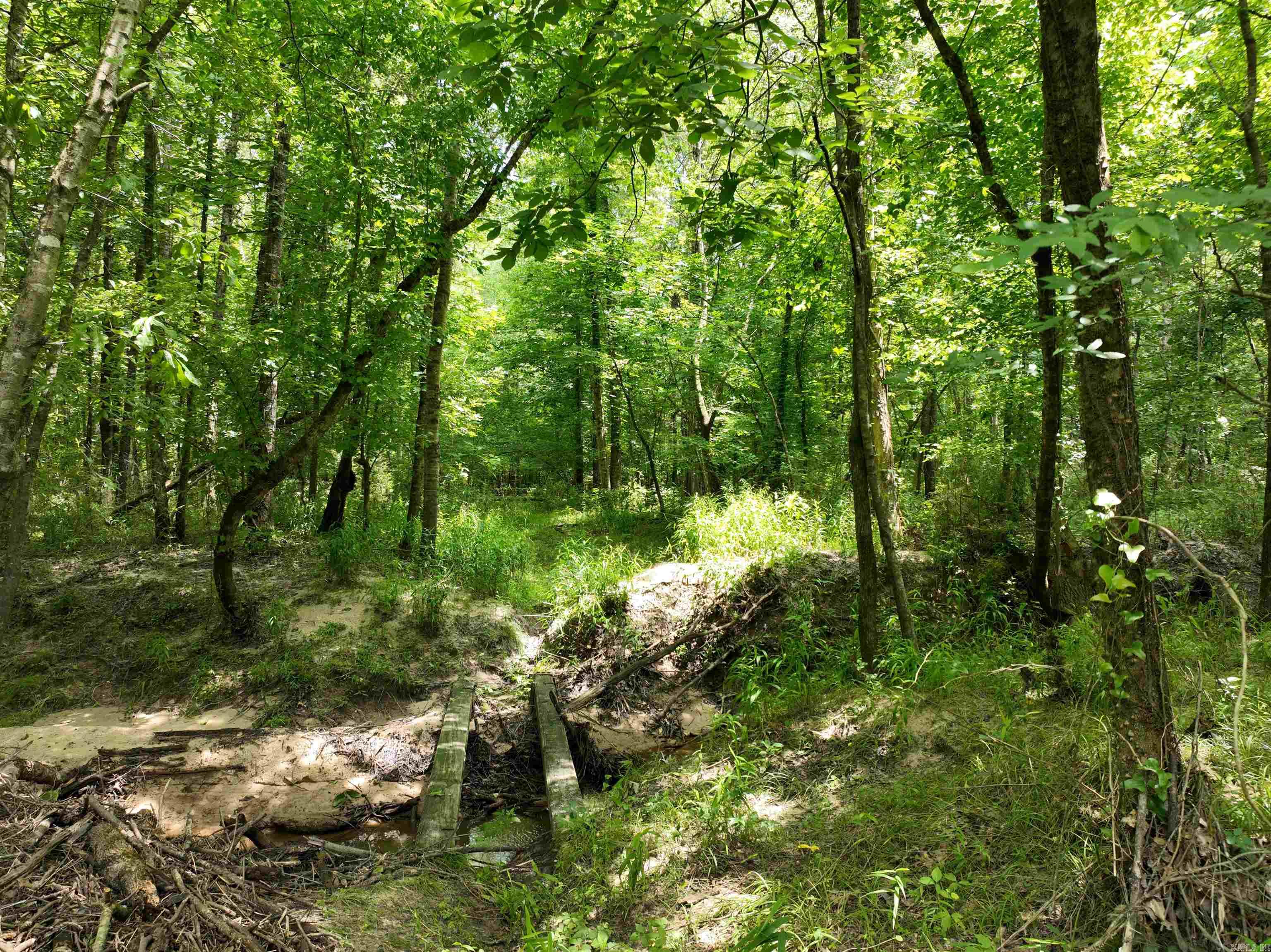 0000 53  Gurdon, AR