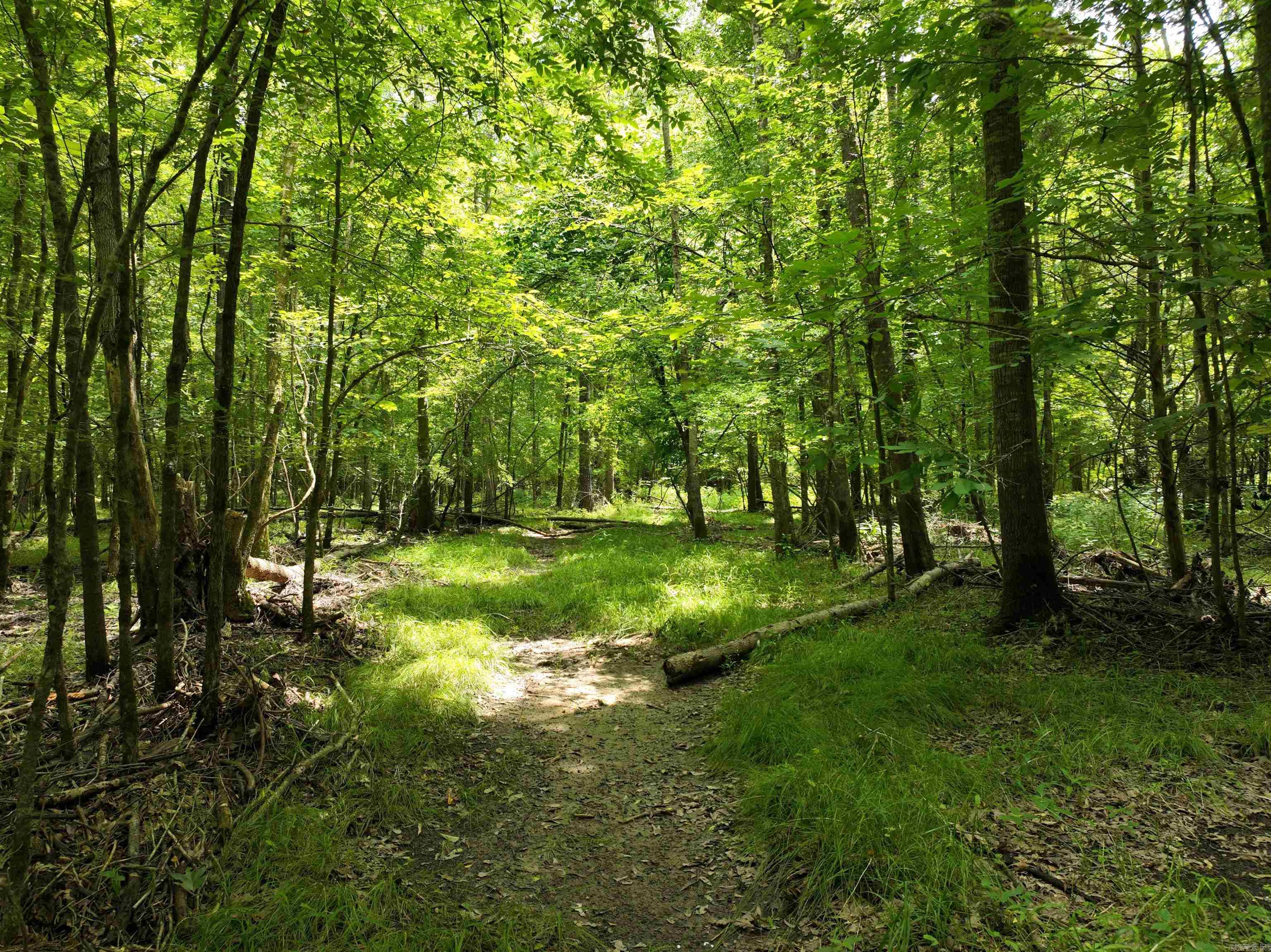 0000 53  Gurdon, AR