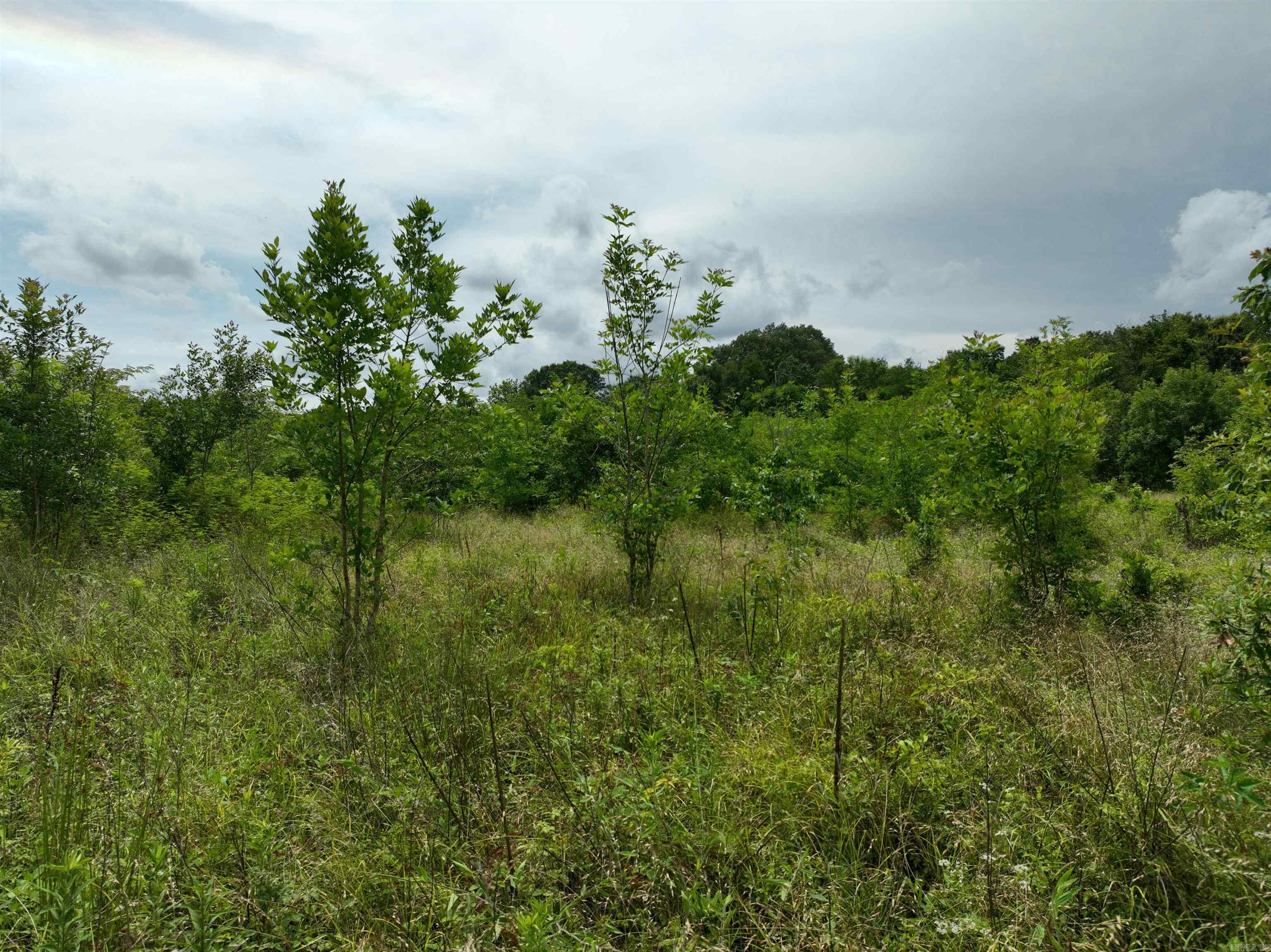 0000 53  Gurdon, AR