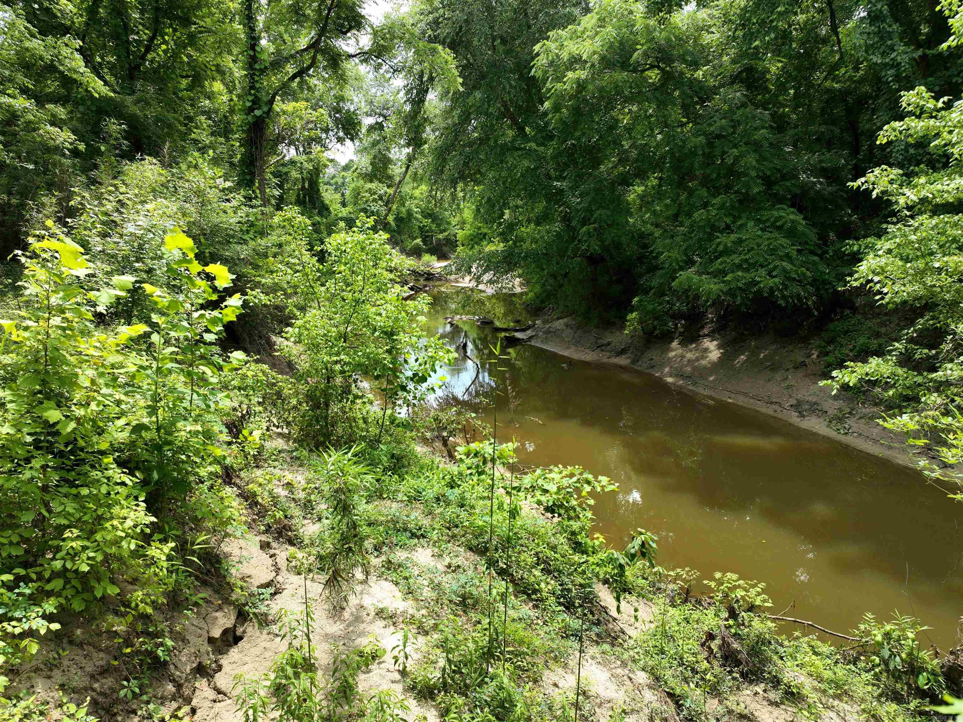 0000 53  Gurdon, AR