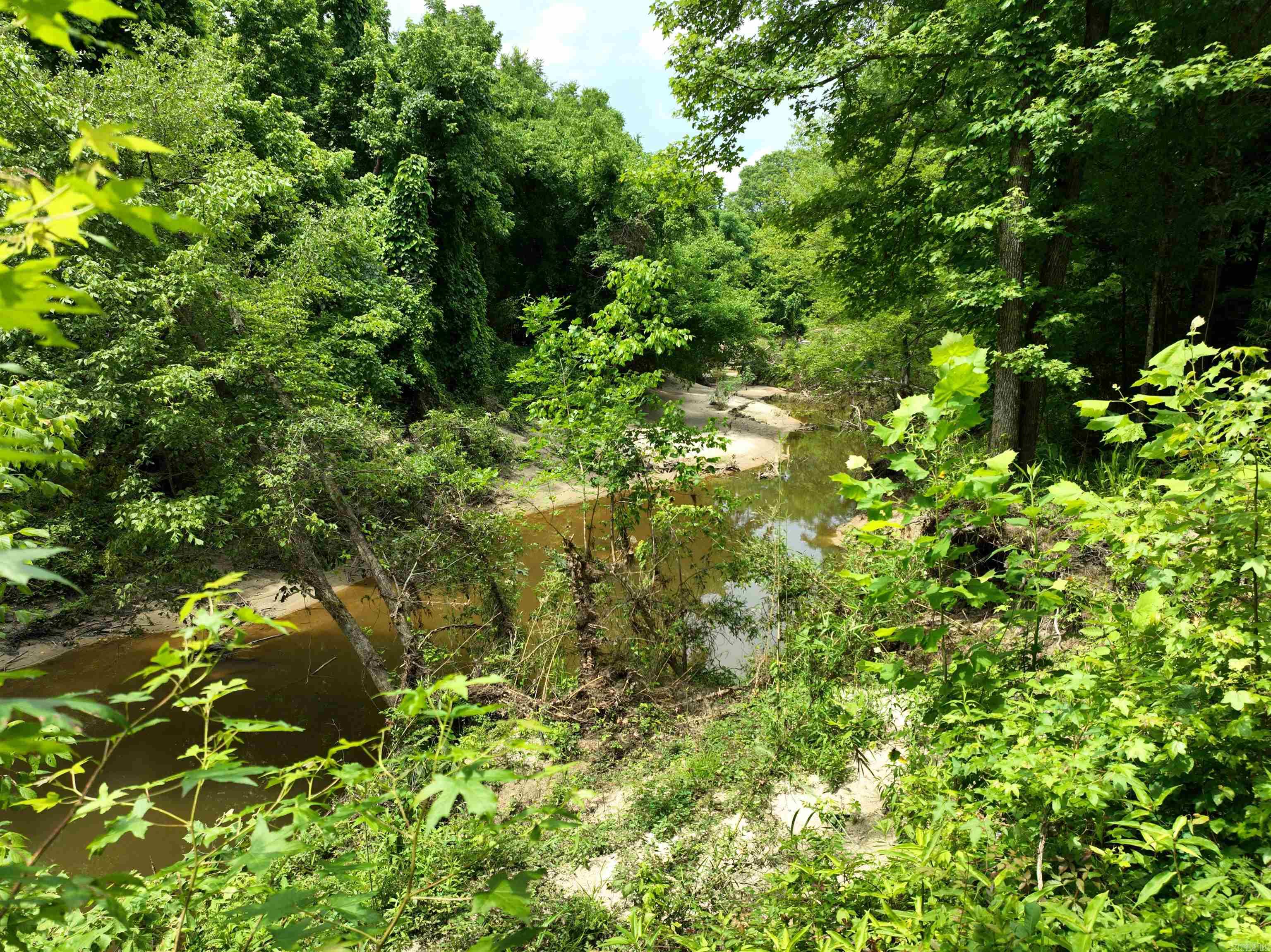 0000 53  Gurdon, AR