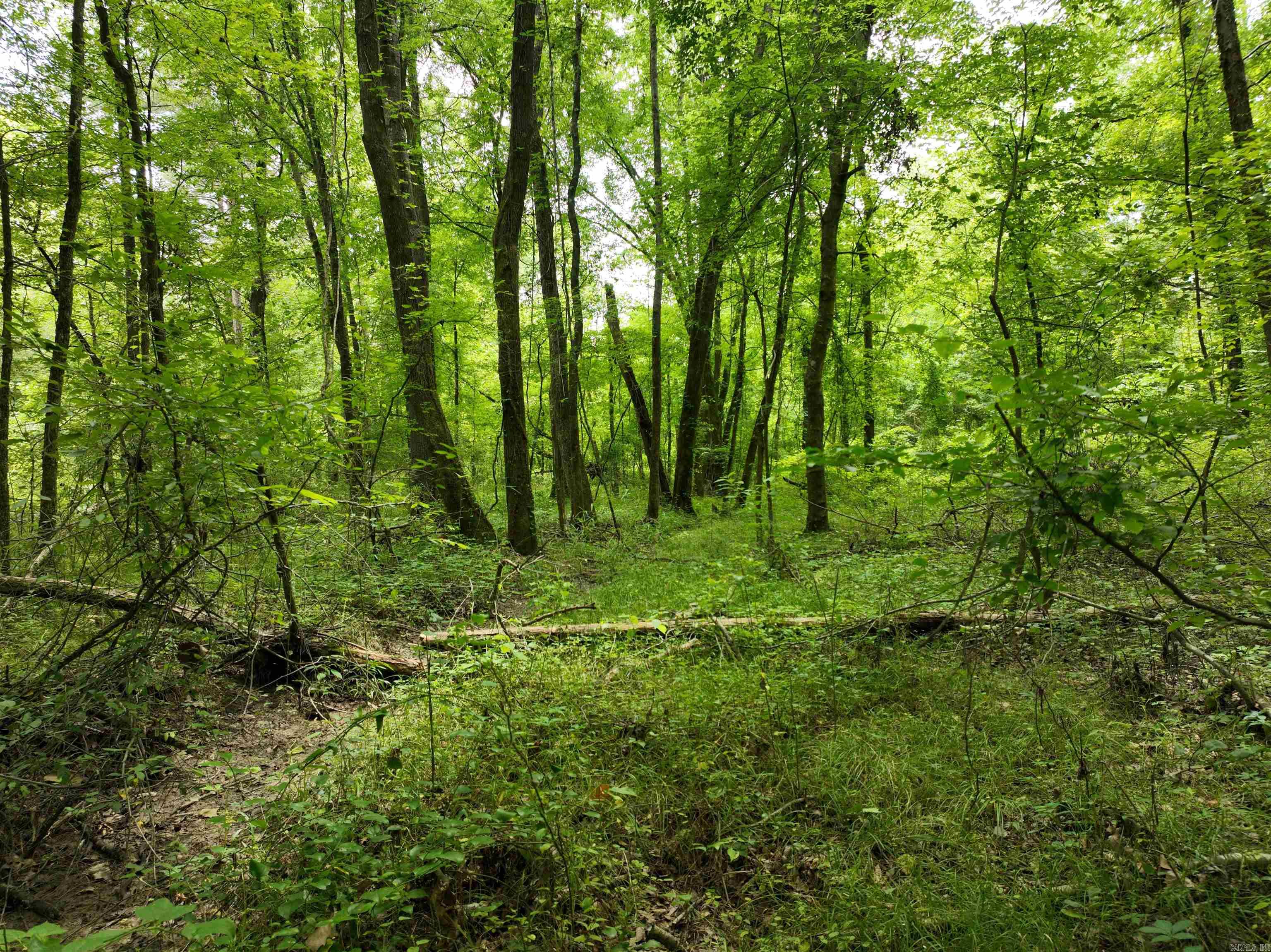0000 53  Gurdon, AR