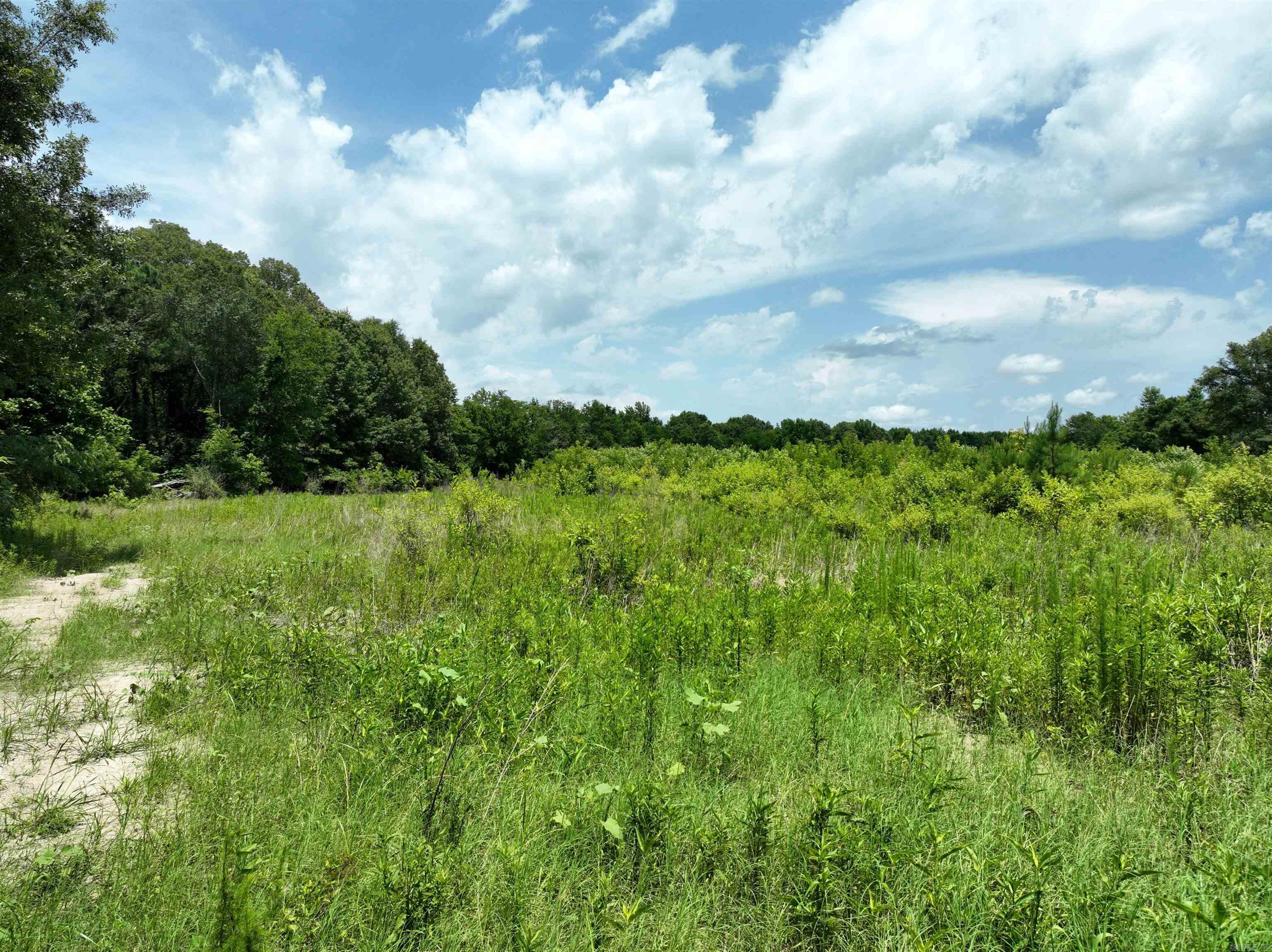 0000 53  Gurdon, AR