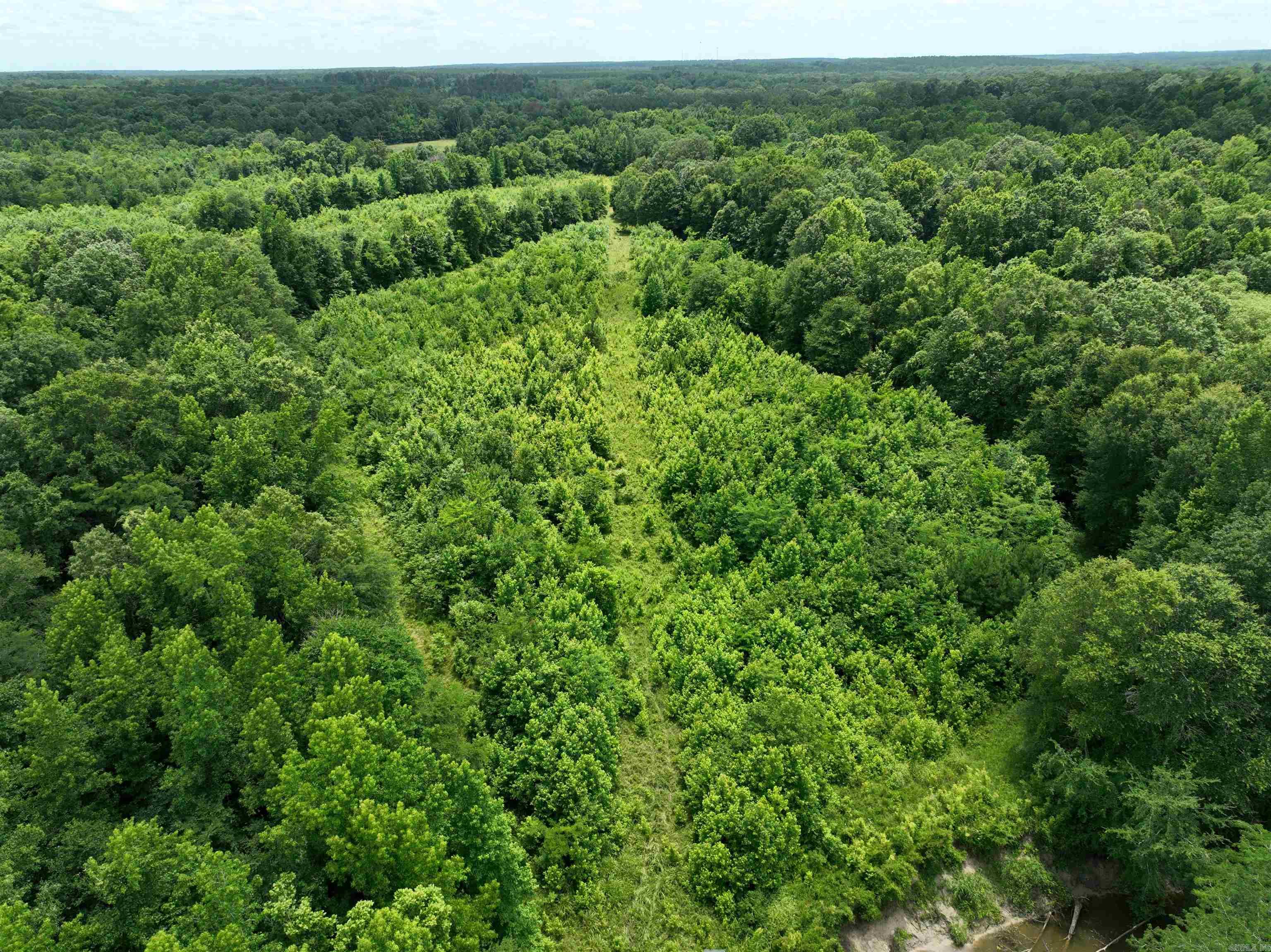 0000 53  Gurdon, AR